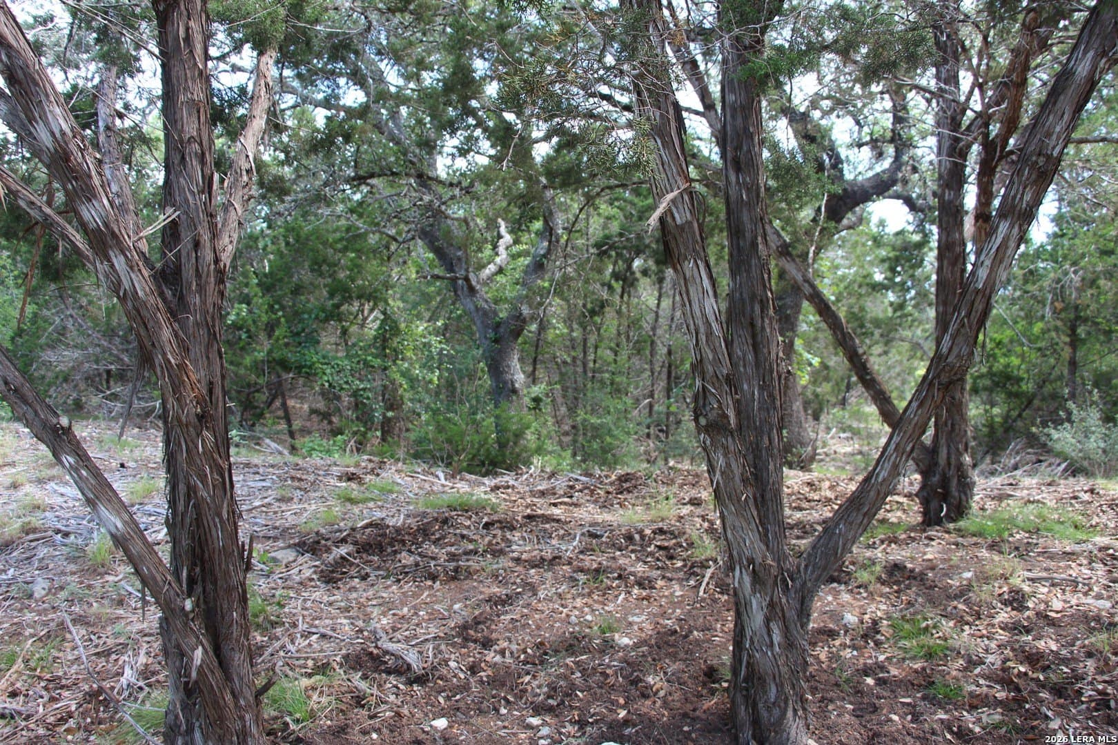 3.11 acres in Medina County - photo 36
