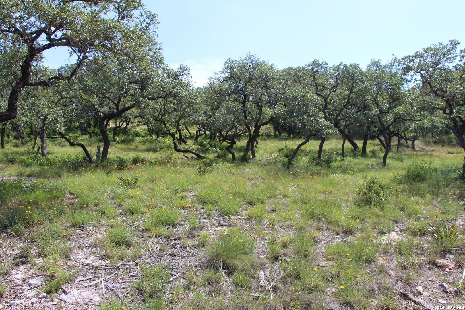 3.11 acres in Medina County - photo 18