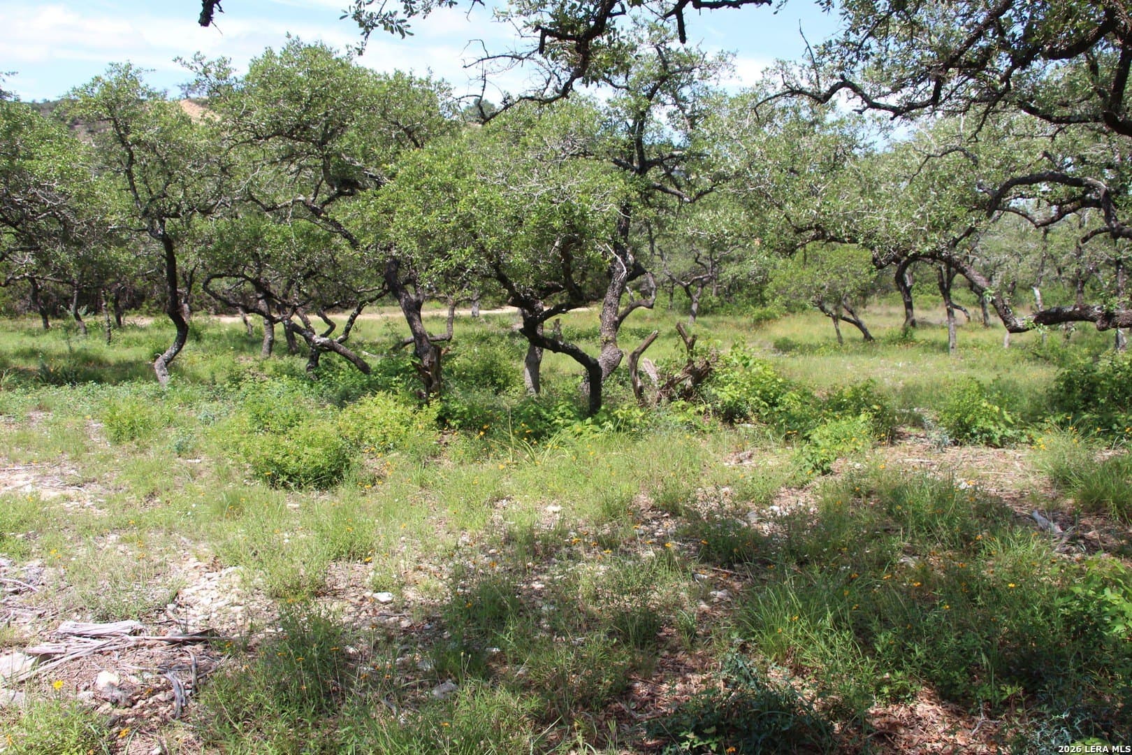 3.11 acres in Medina County - photo 9