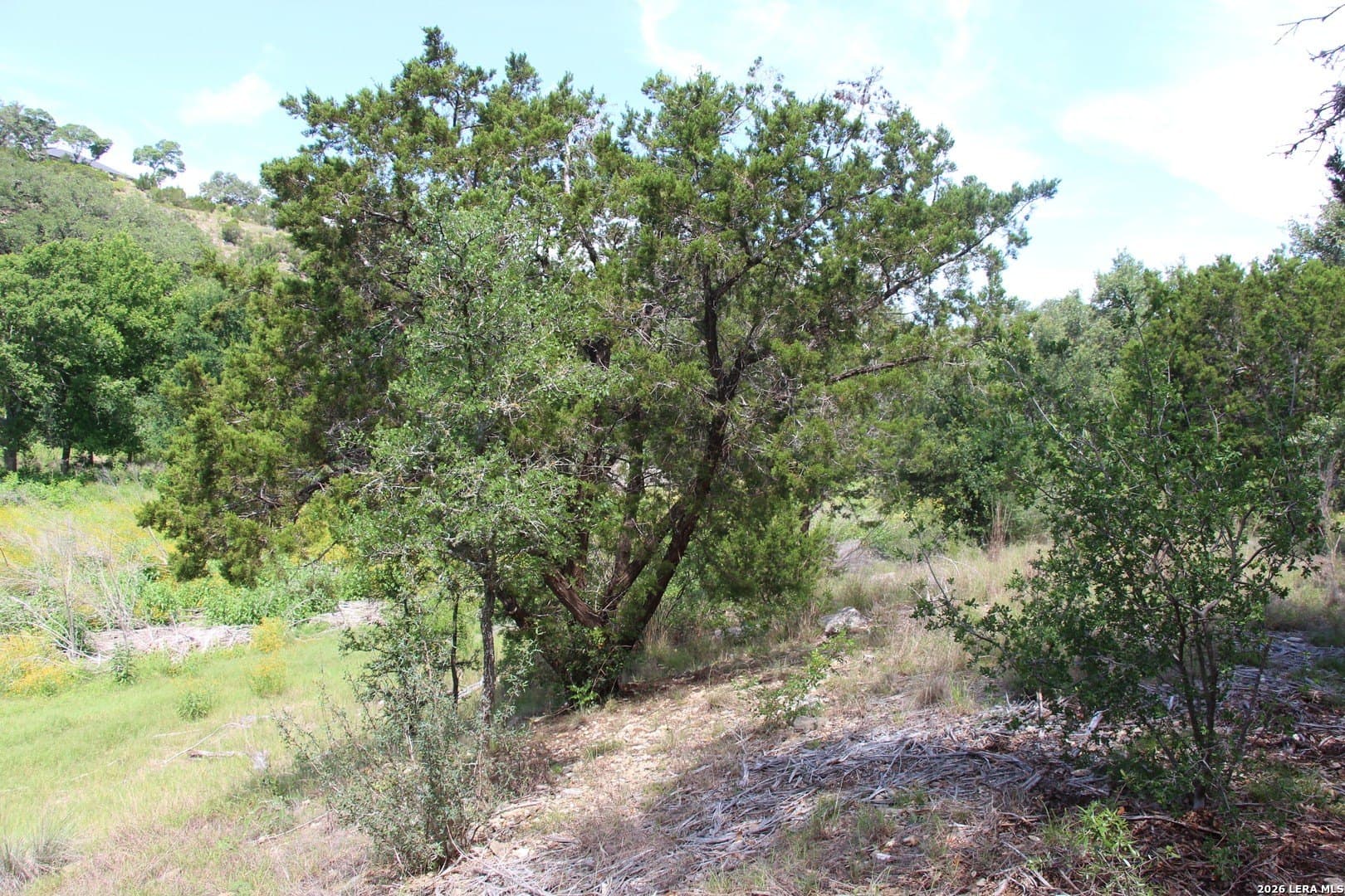 3.11 acres in Medina County - photo 41