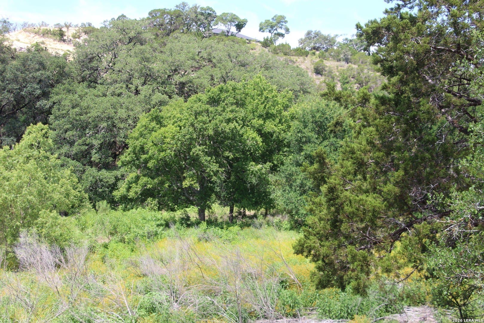 3.11 acres in Medina County - photo 40