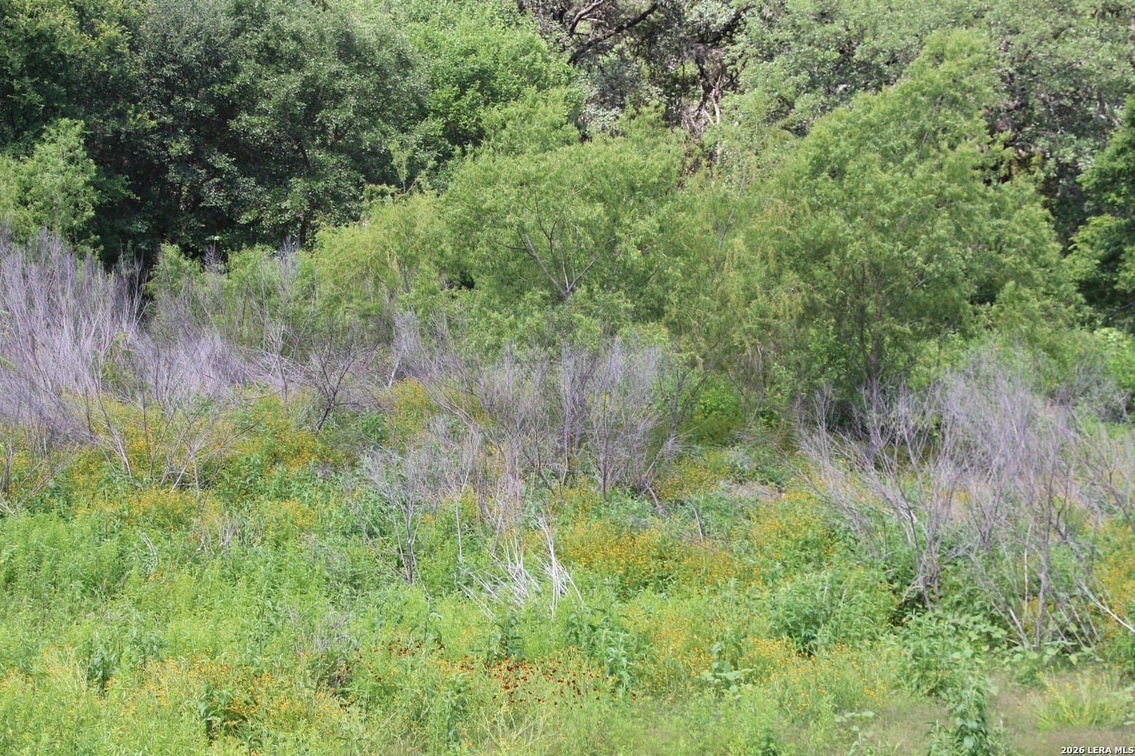 3.11 acres in Medina County - photo 32