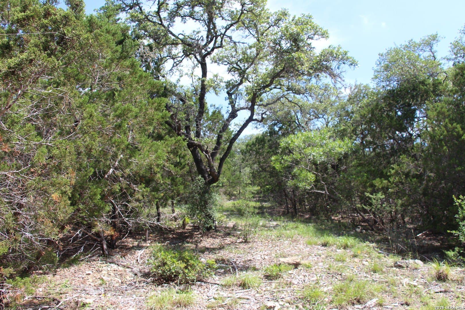 3.11 acres in Medina County - photo 25