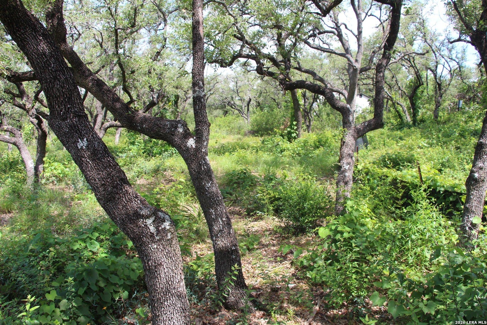 3.11 acres in Medina County - photo 7