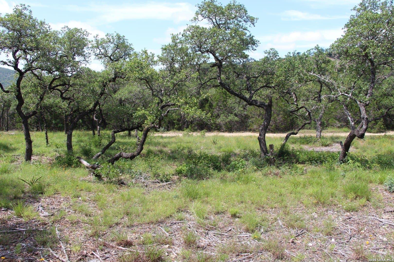 3.11 acres in Medina County - photo 14