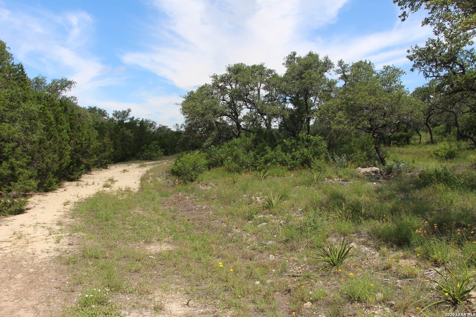 3.11 acres in Medina County - photo 19