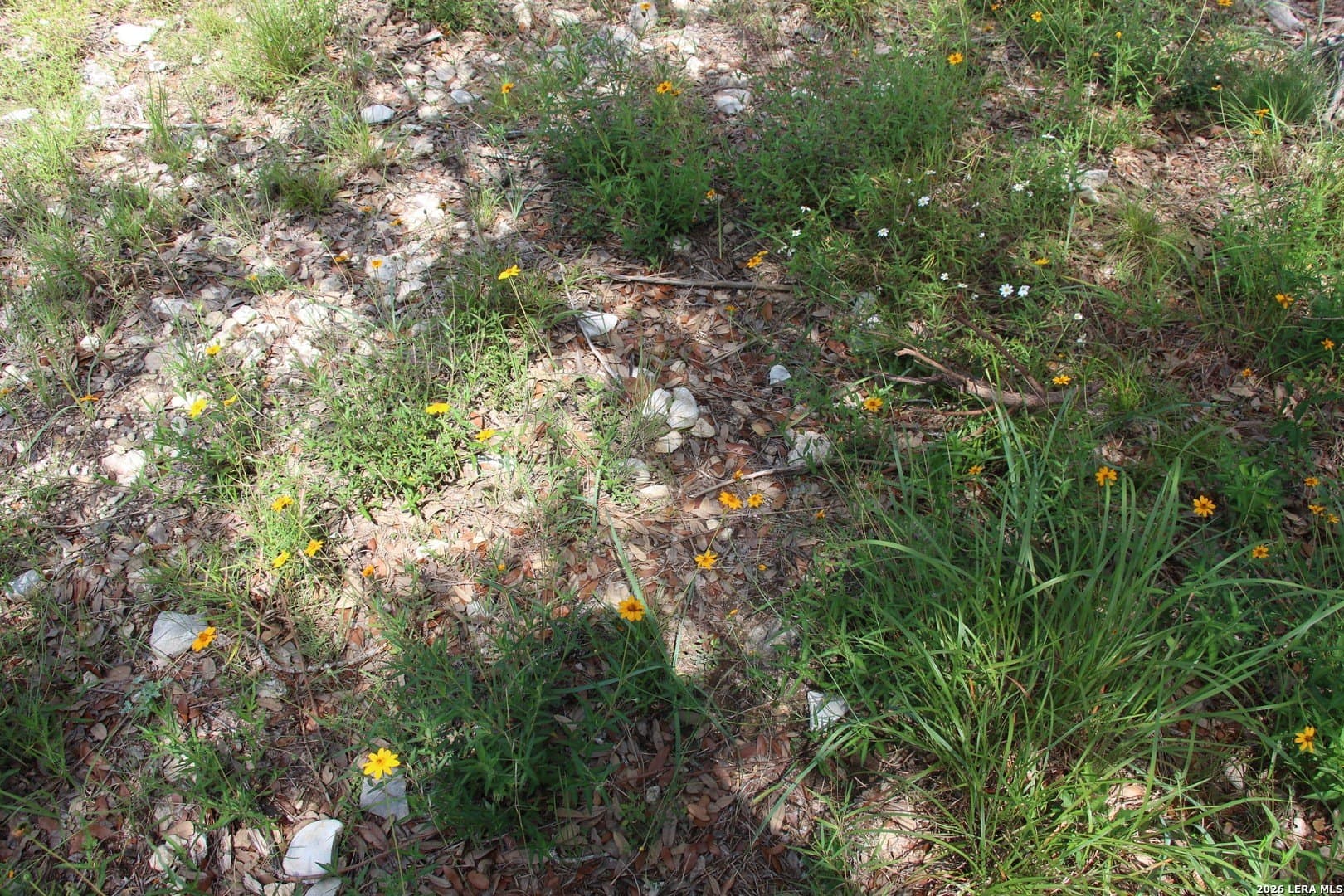 3.11 acres in Medina County - photo 10