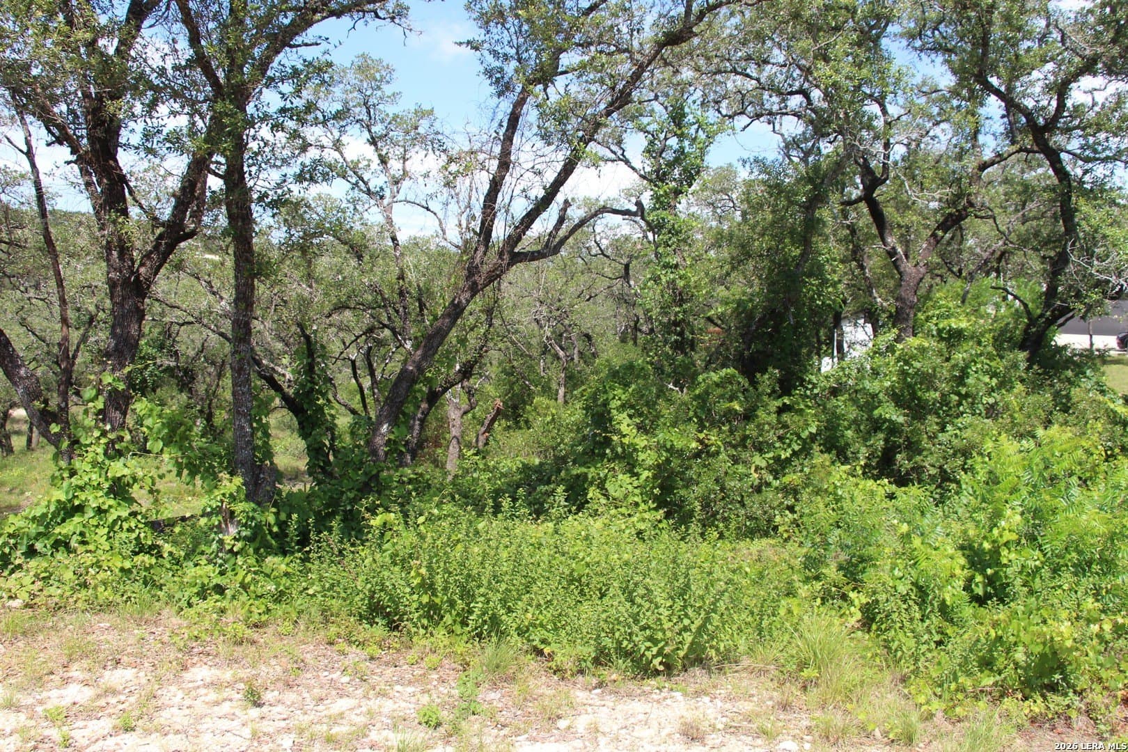 3.11 acres in Medina County - photo 3