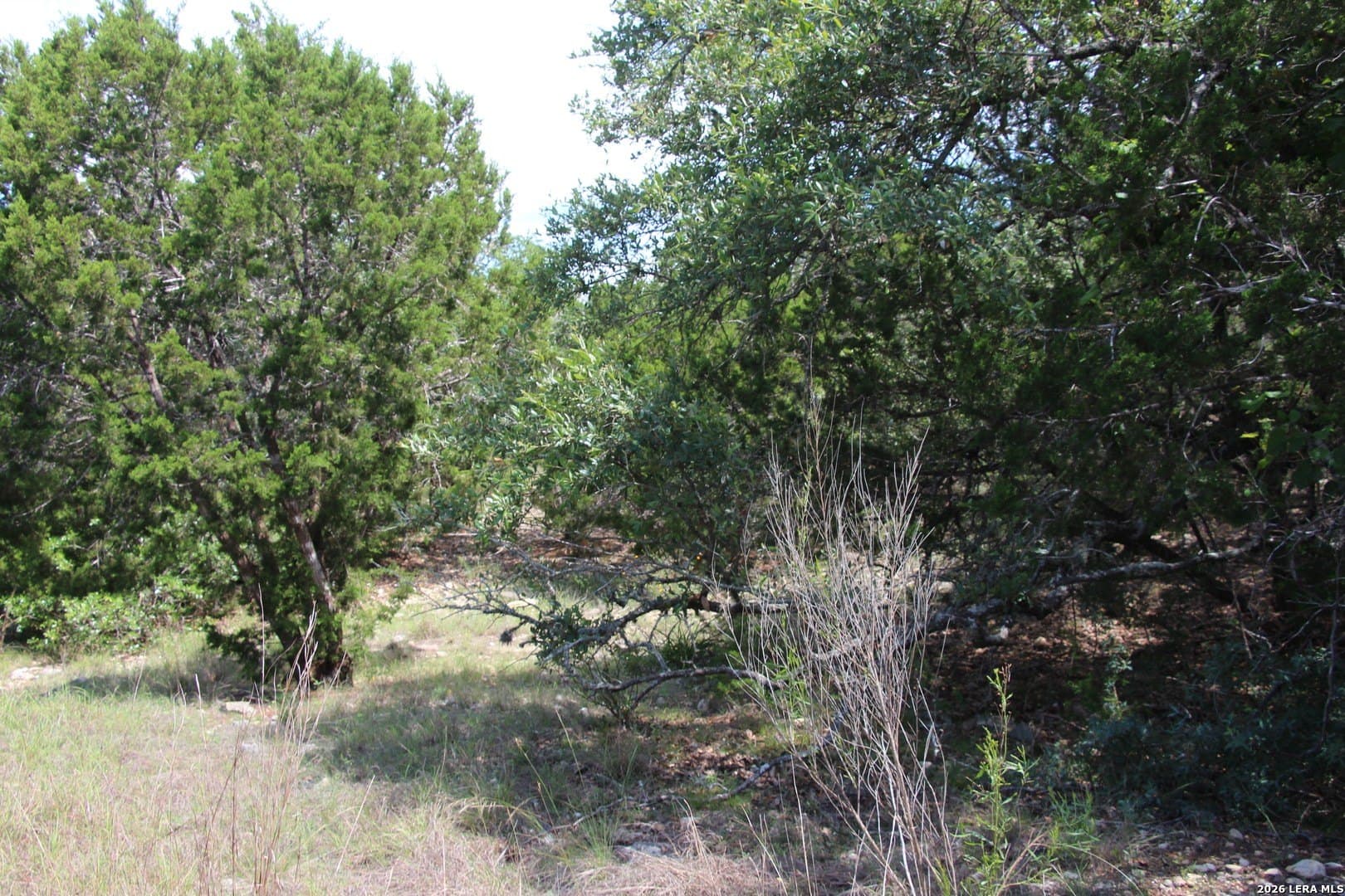 3.11 acres in Medina County - photo 44