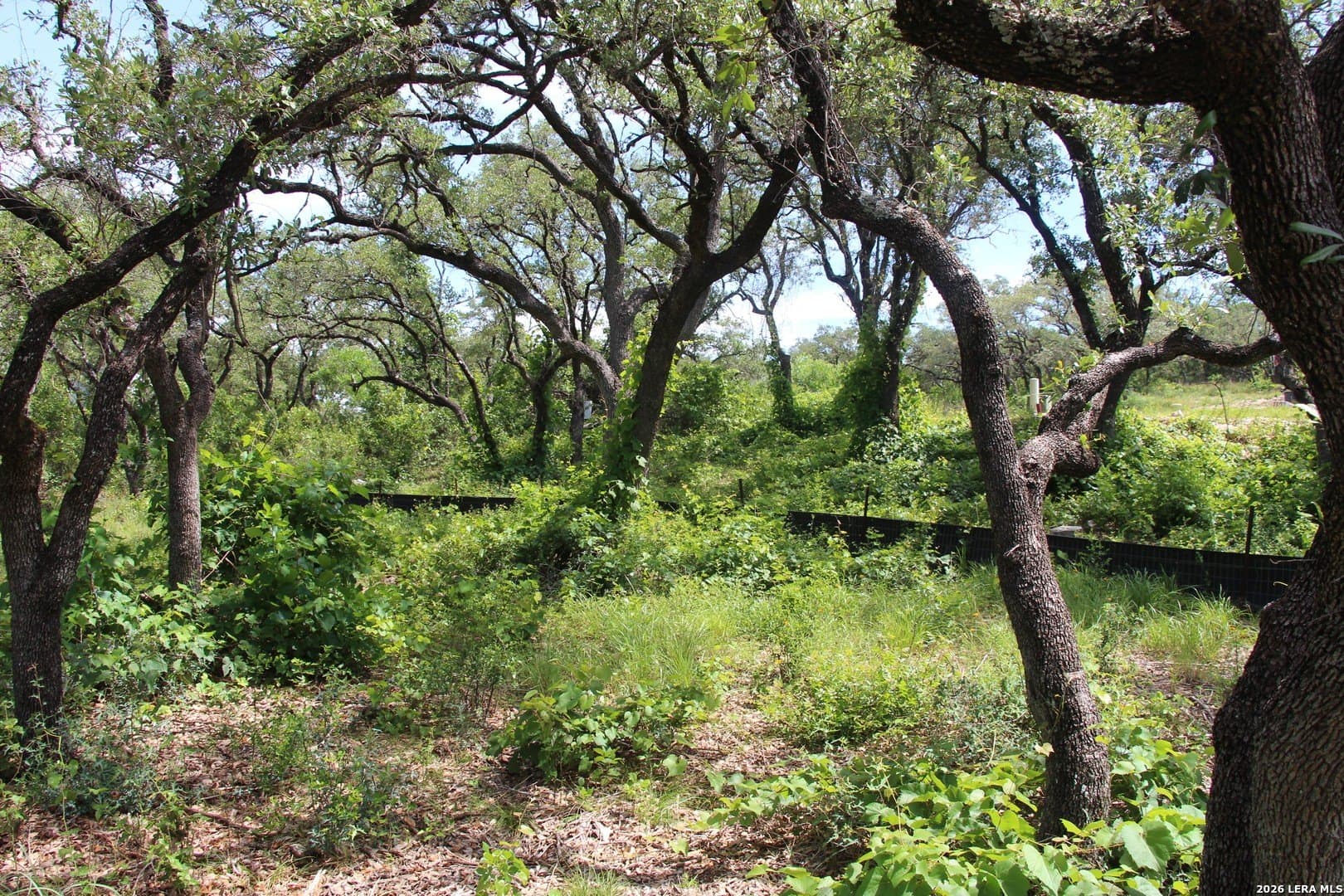 3.11 acres in Medina County - photo 13