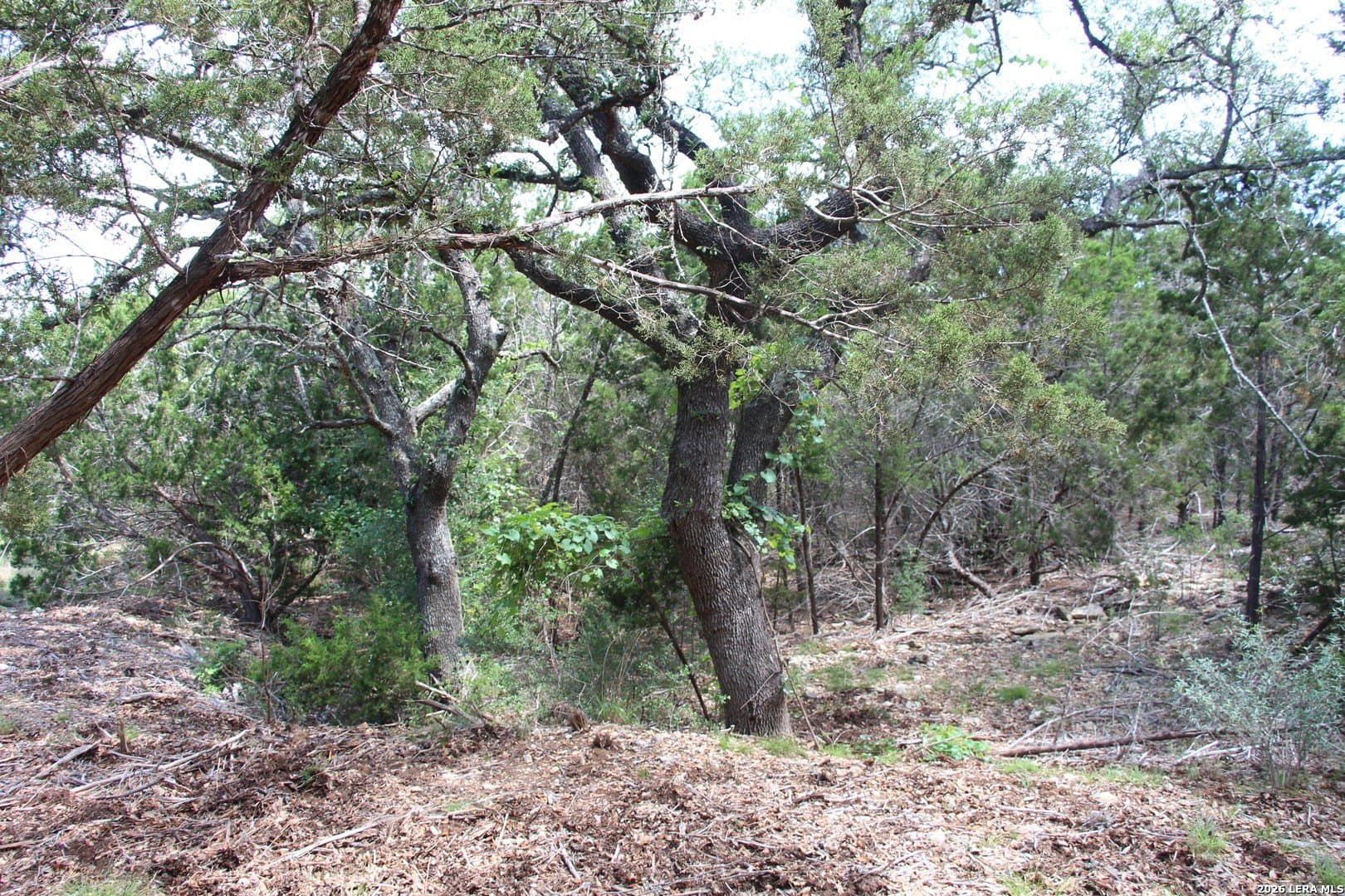 3.11 acres in Medina County - photo 39
