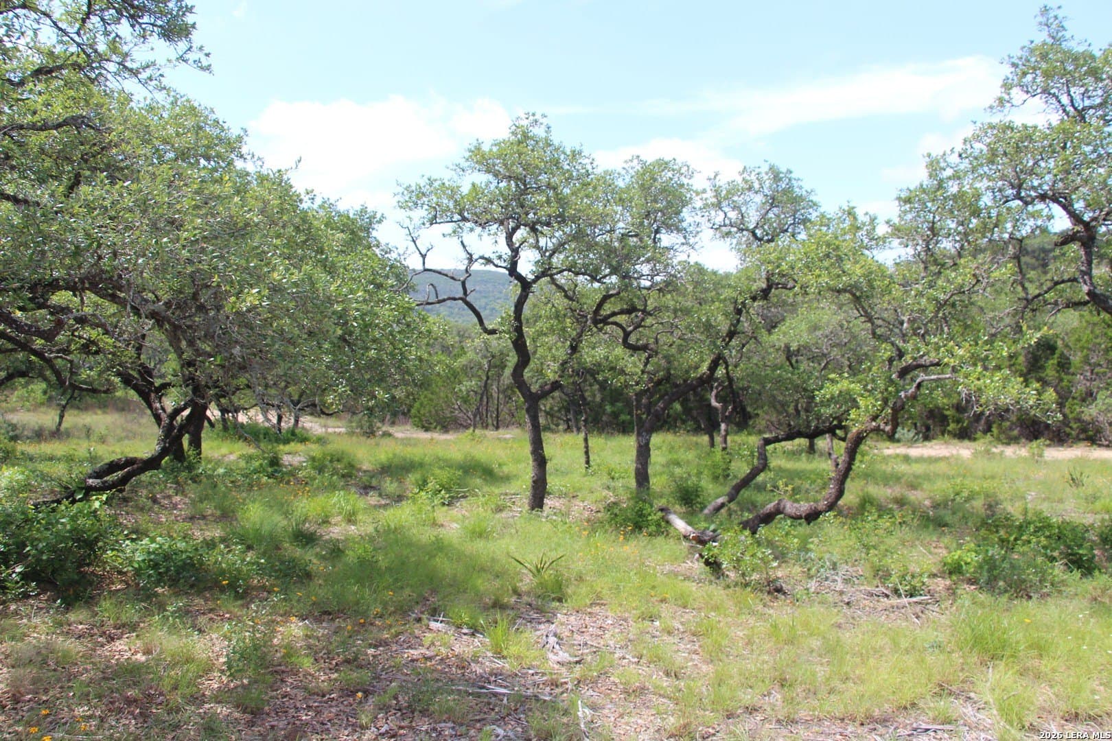3.11 acres in Medina County - photo 15