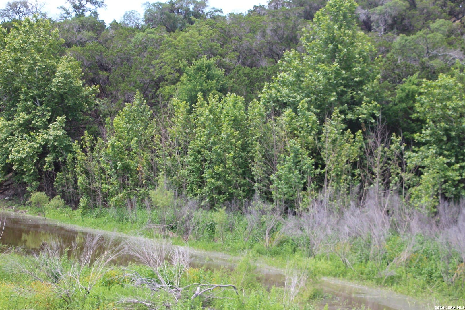 3.11 acres in Medina County - photo 31