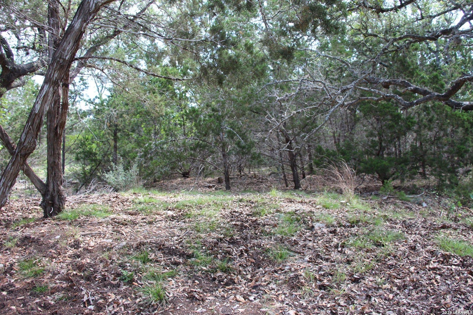 3.11 acres in Medina County - photo 37