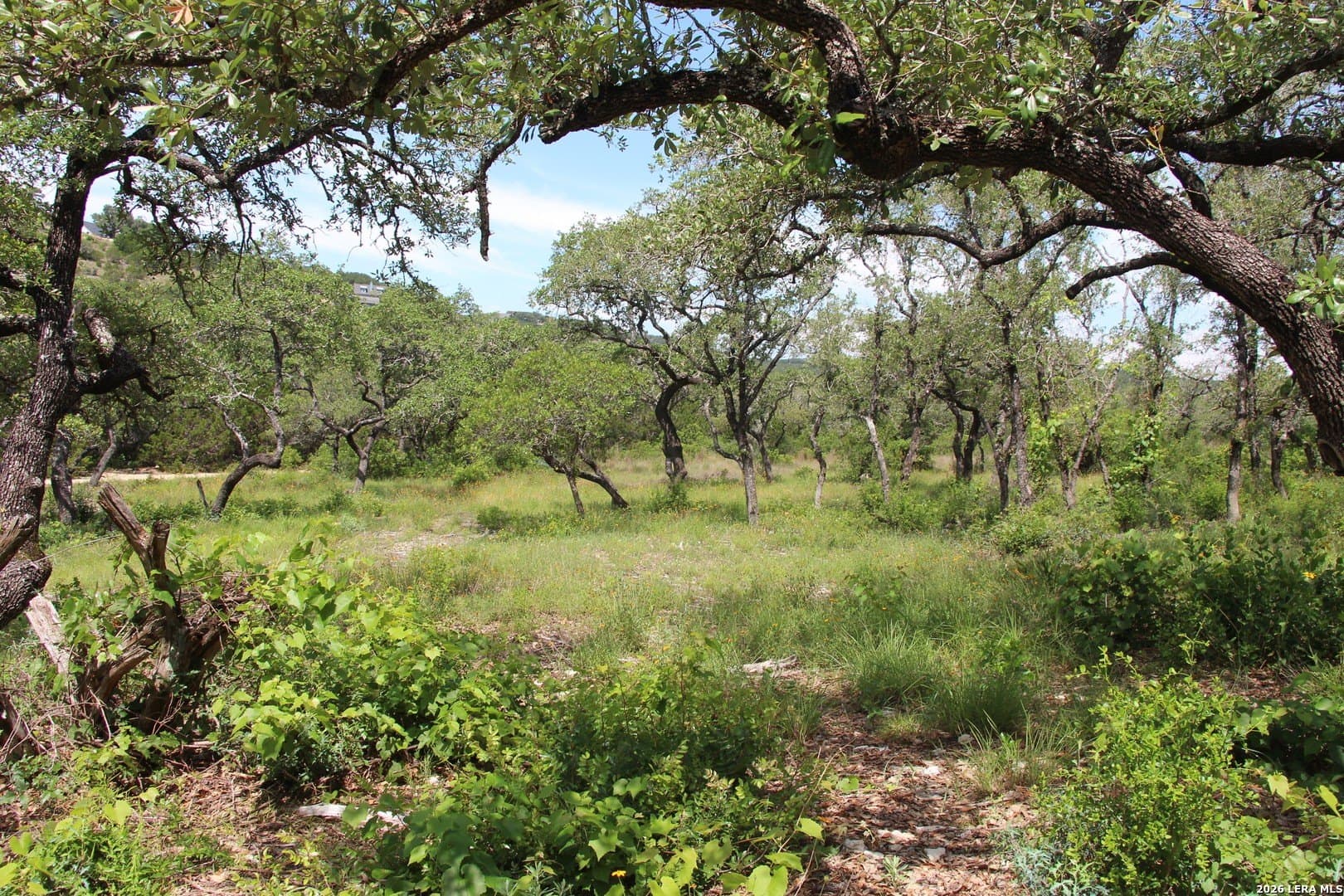 3.11 acres in Medina County - photo 12