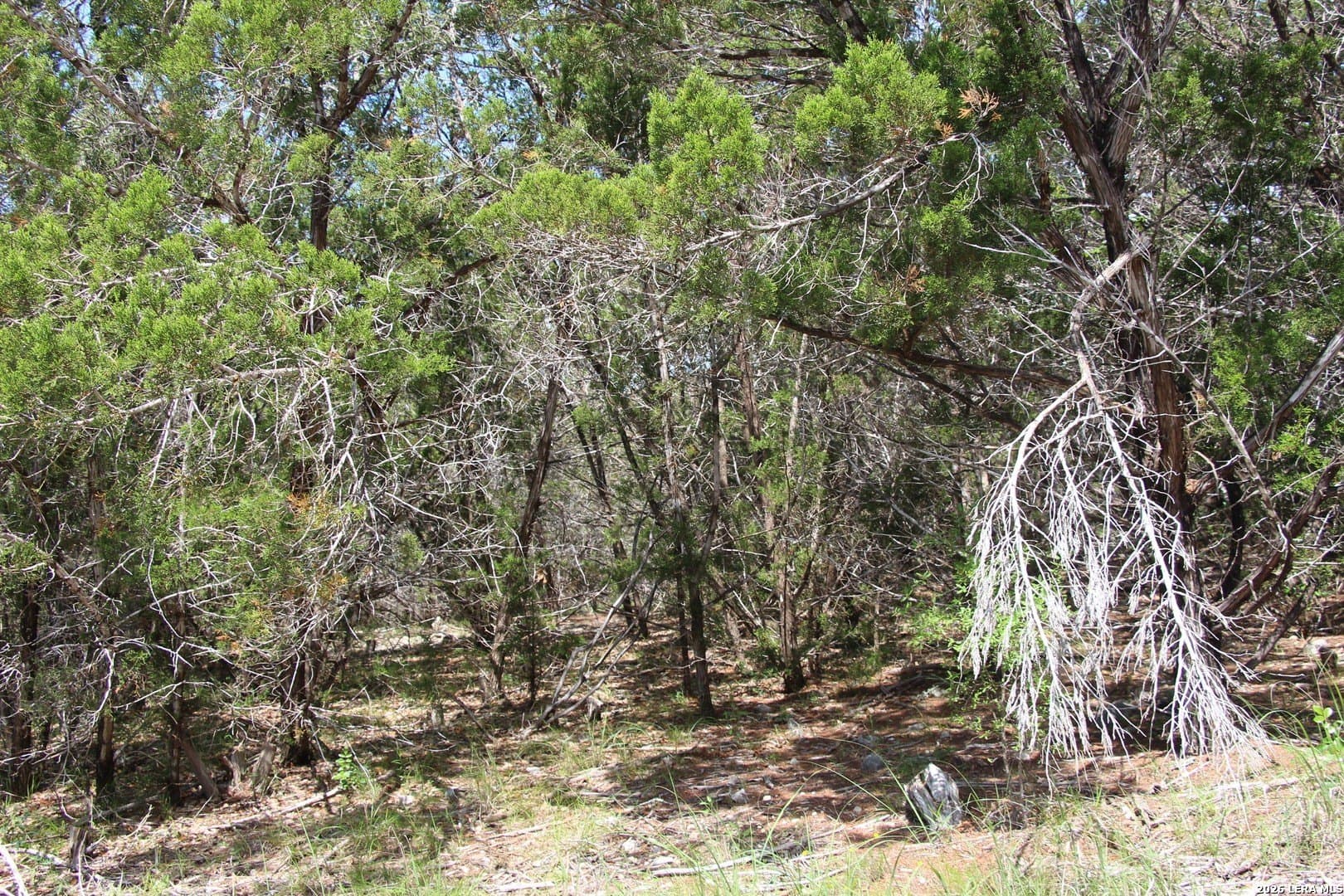 3.11 acres in Medina County - photo 46