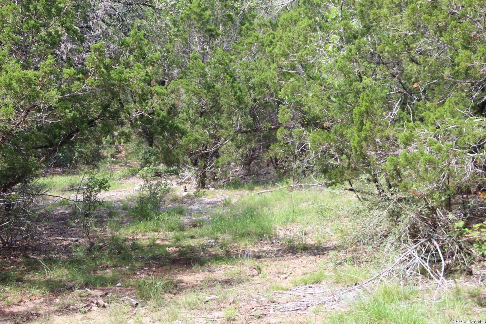 3.11 acres in Medina County - photo 22