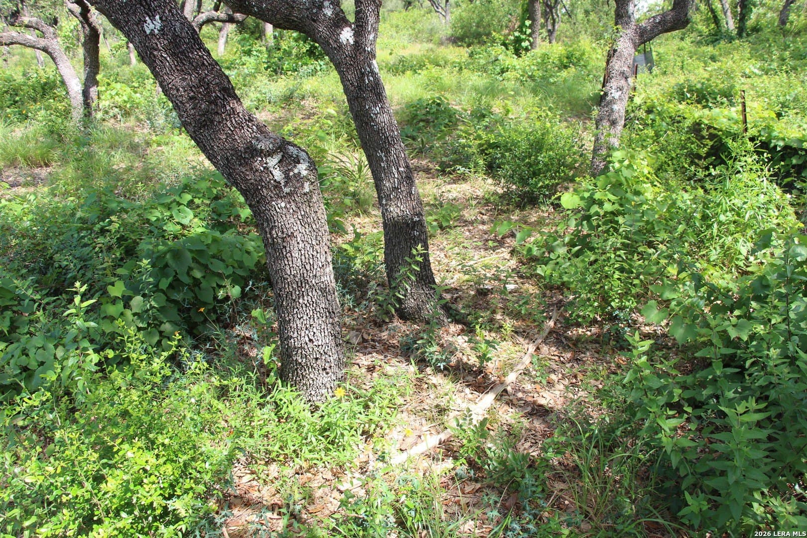 3.11 acres in Medina County - photo 8