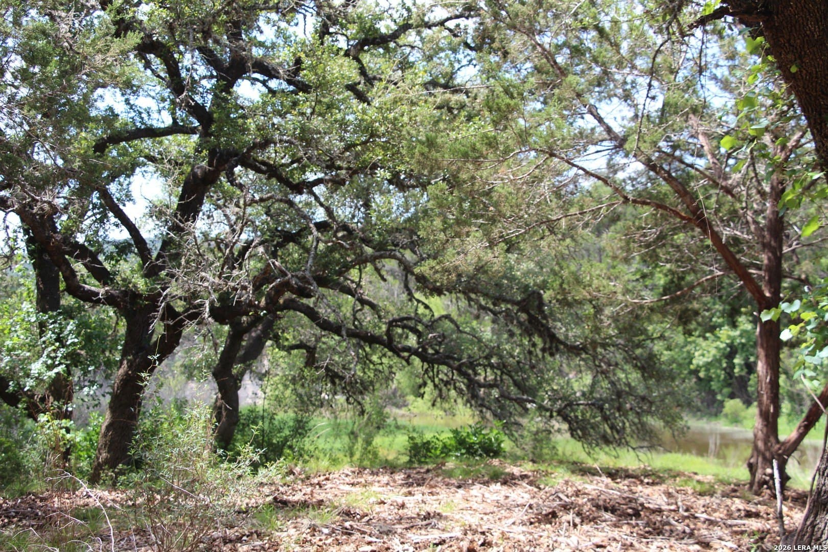 3.11 acres in Medina County - photo 27