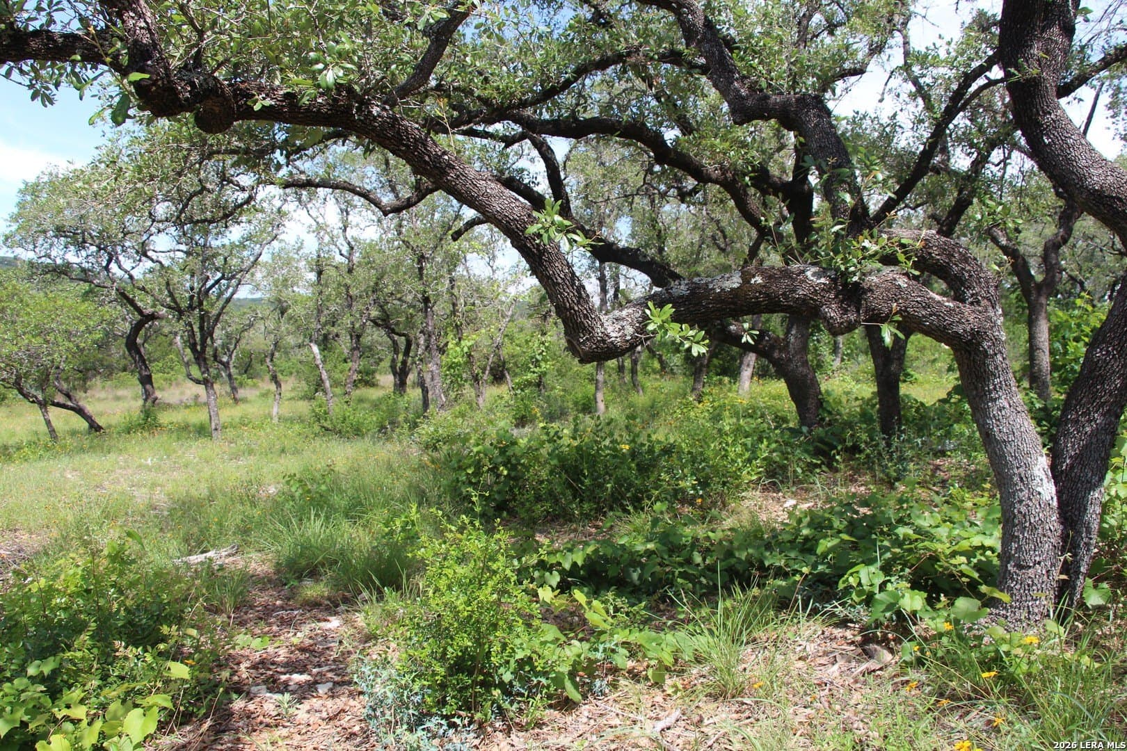 3.11 acres in Medina County - photo 11