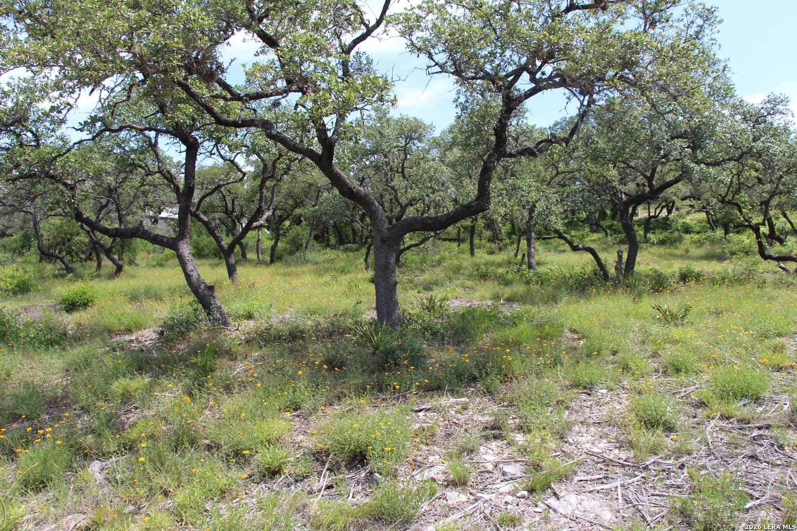 3.11 acres in Medina County - photo 17