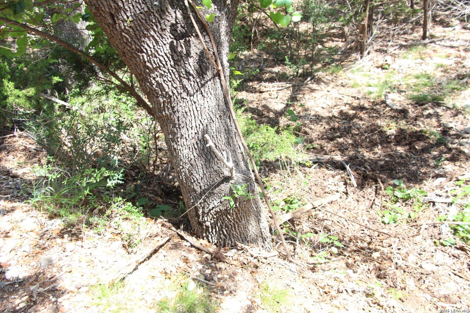 3.11 acres in Medina County - photo 47