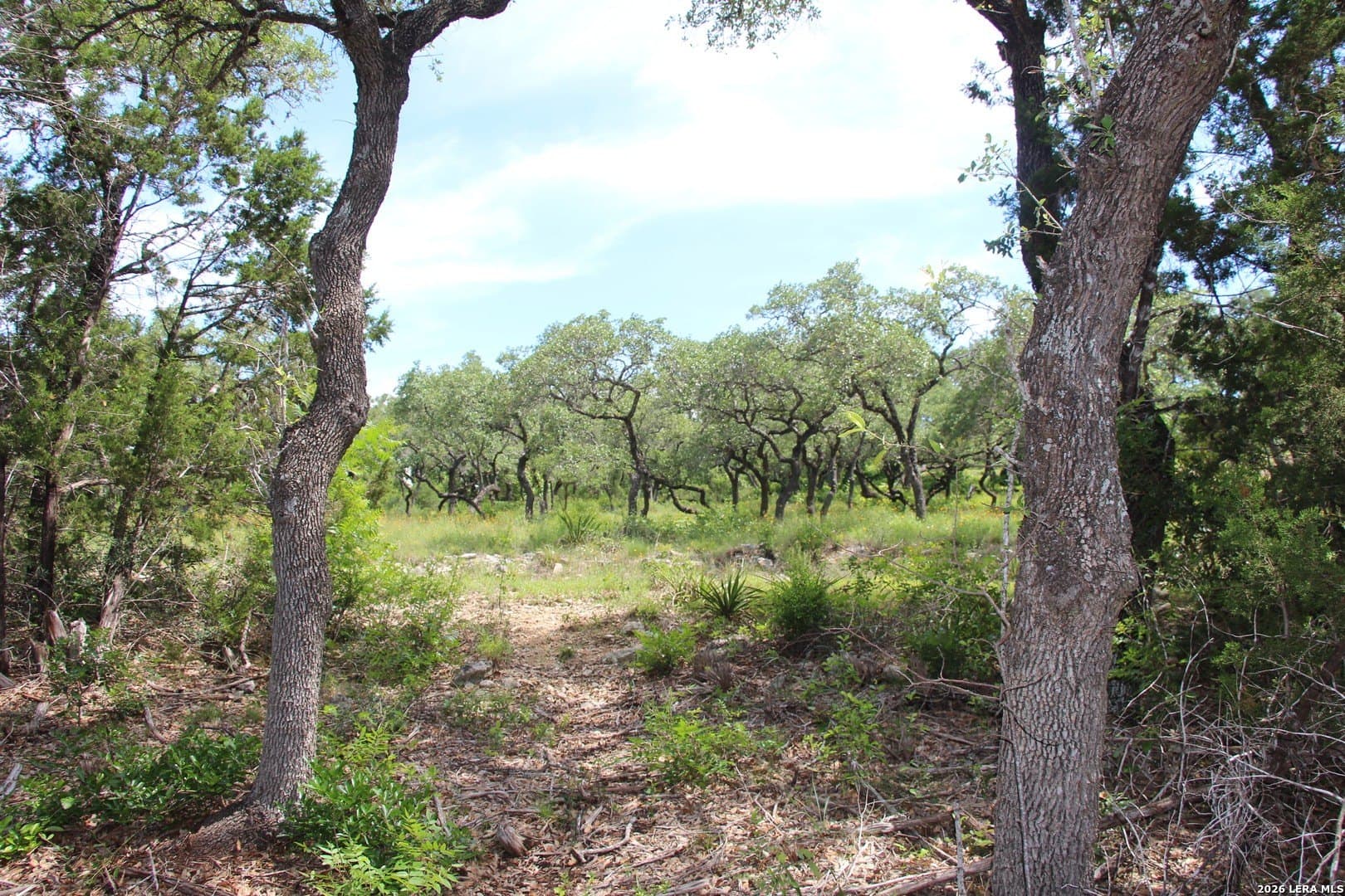 3.11 acres in Medina County - photo 20
