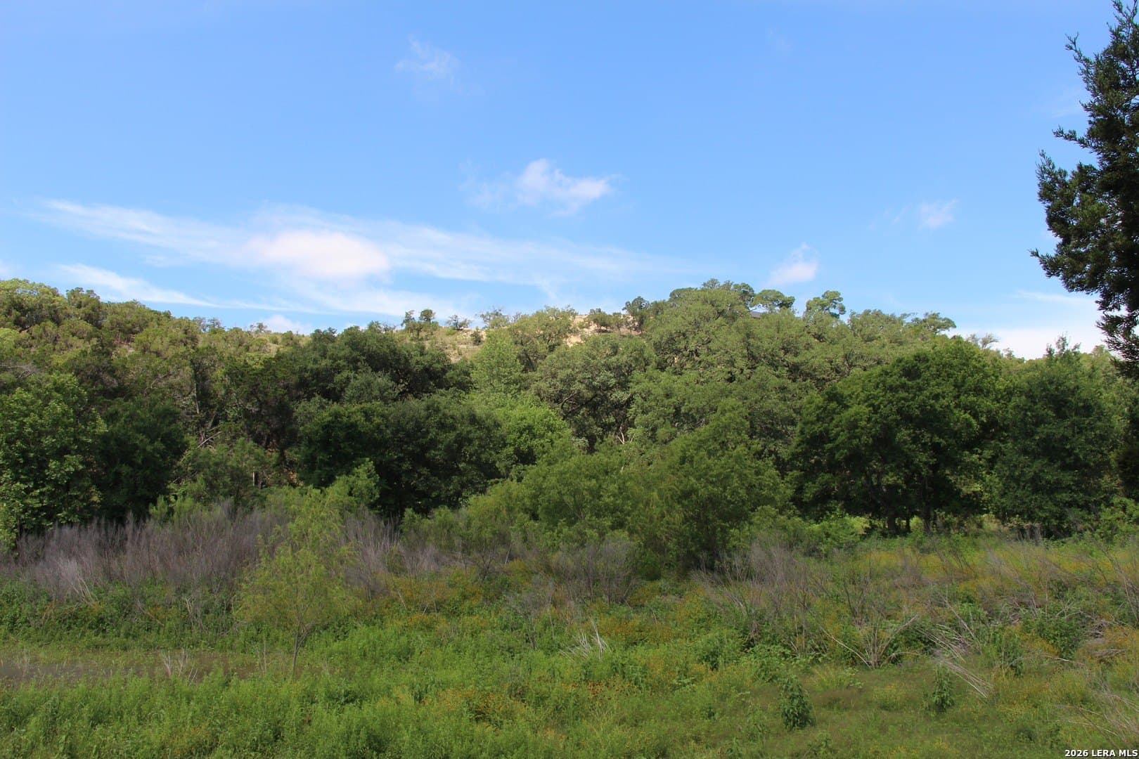 3.11 acres in Medina County - photo 35