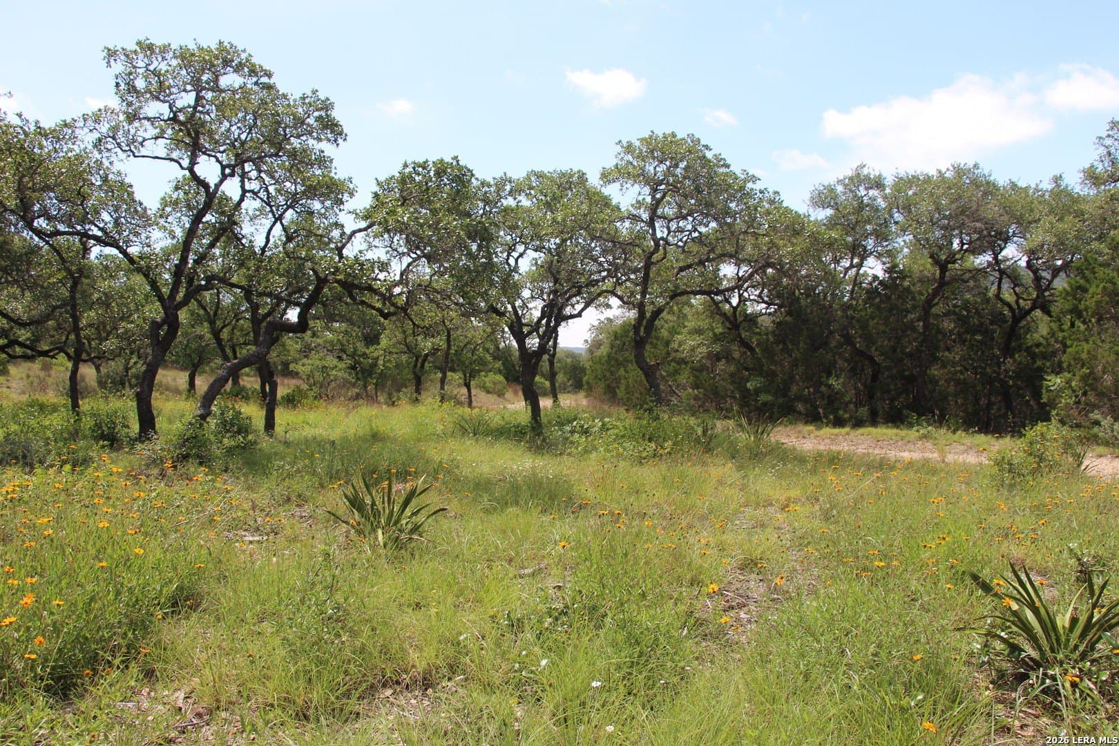 3.11 acres in Medina County - photo 16