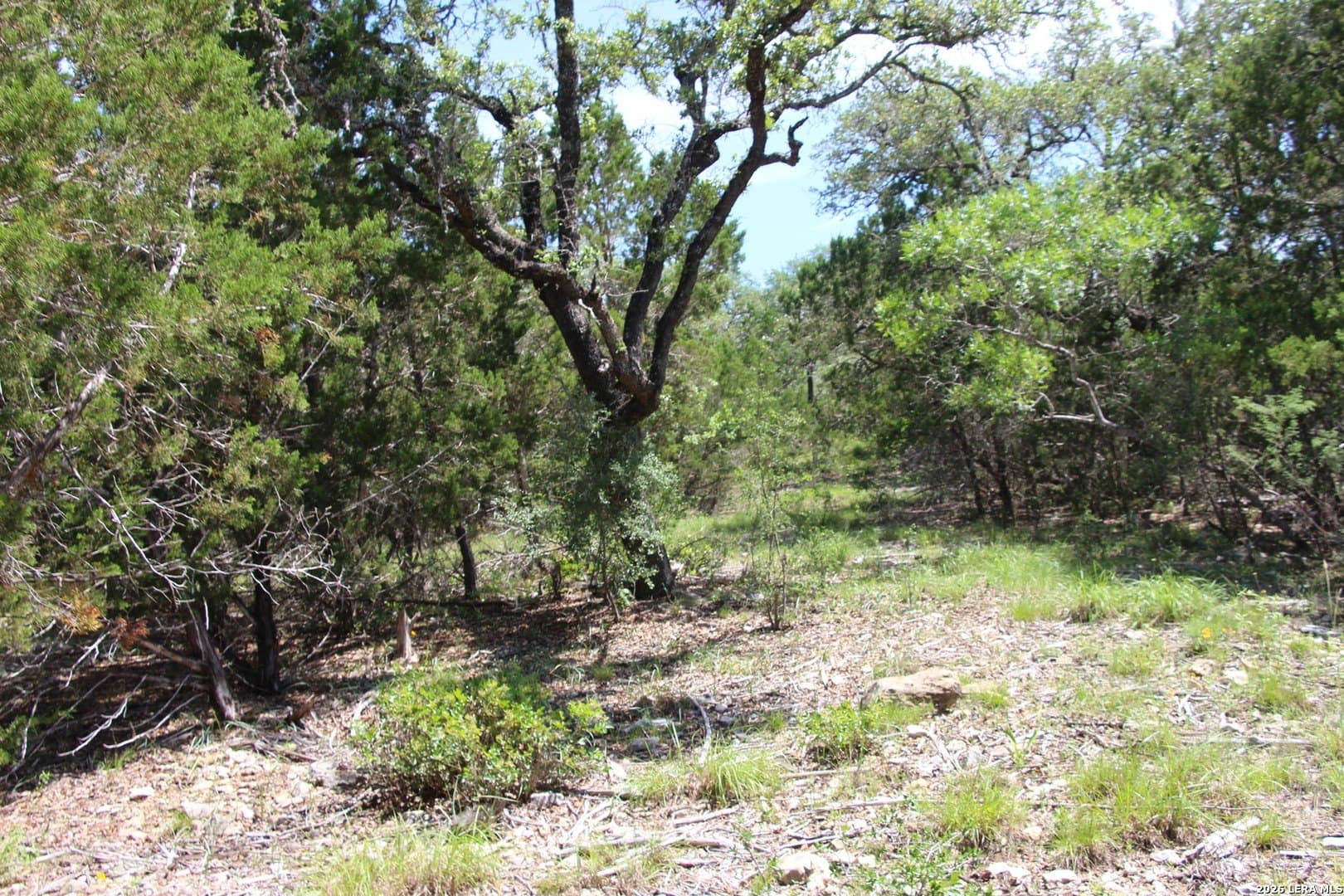 3.11 acres in Medina County - photo 53