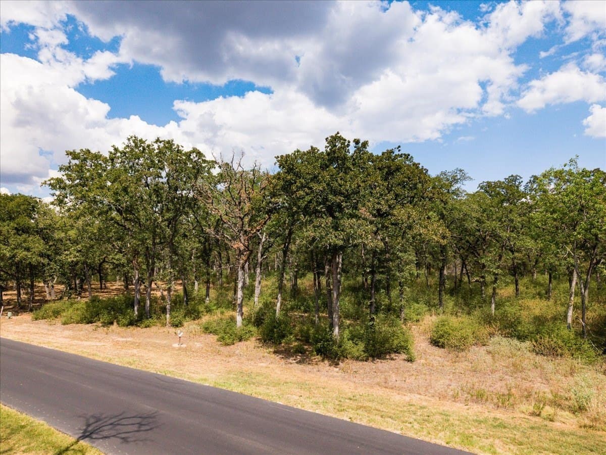5.91 acres in Henderson County - photo 3