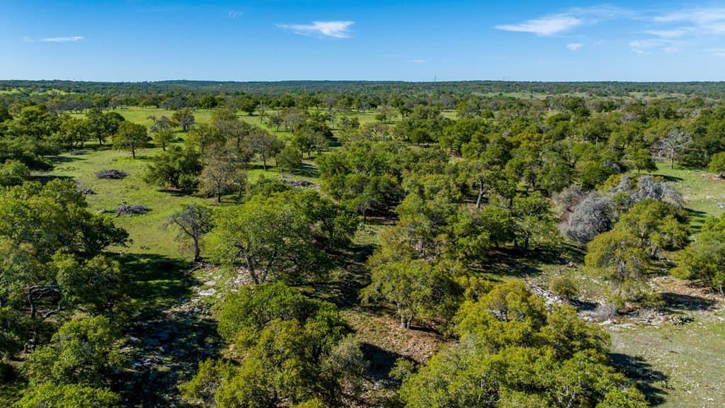 25 acres in Kerr County gallery image 4