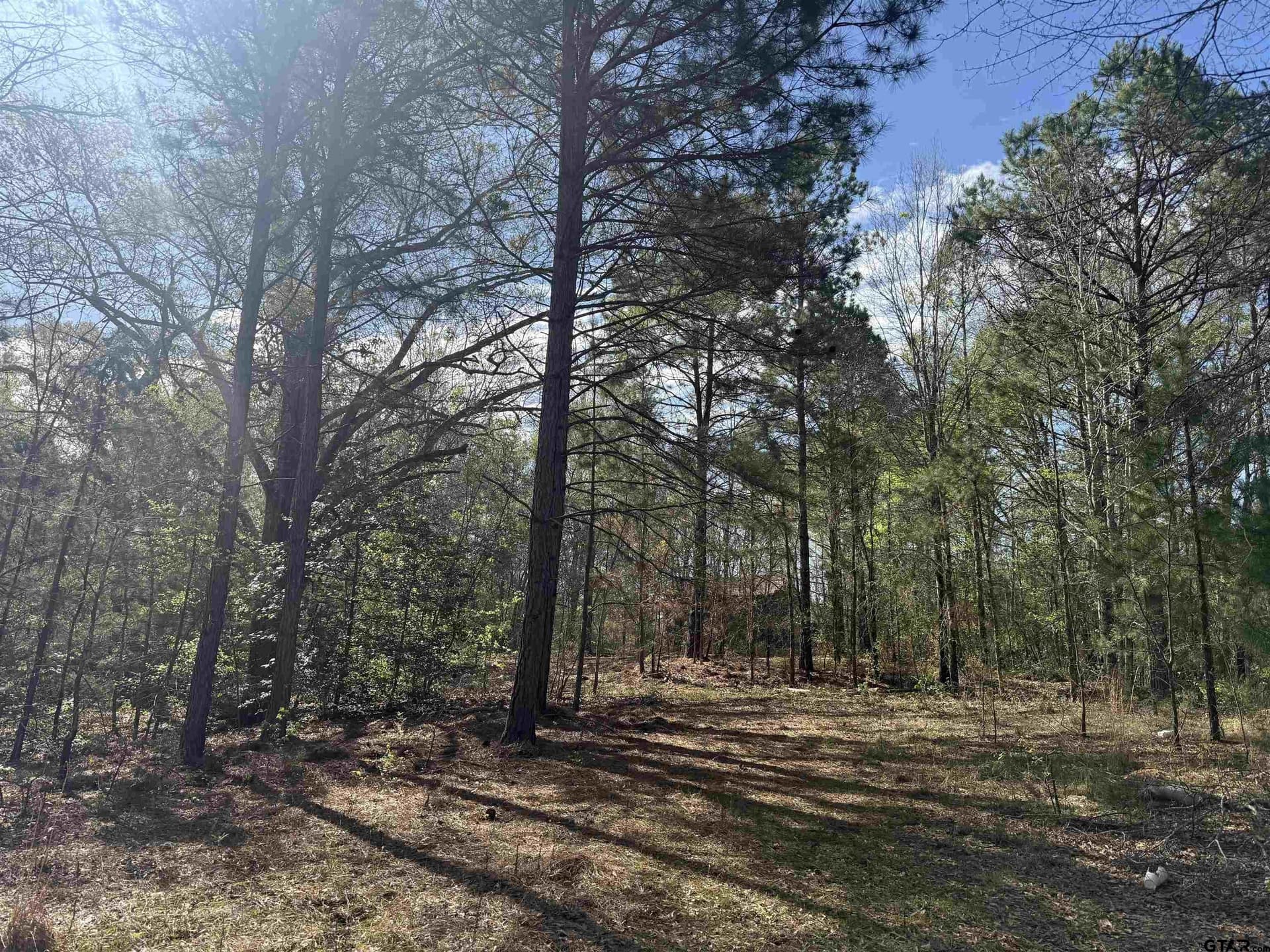 12.19 acres in Smith County - photo 5