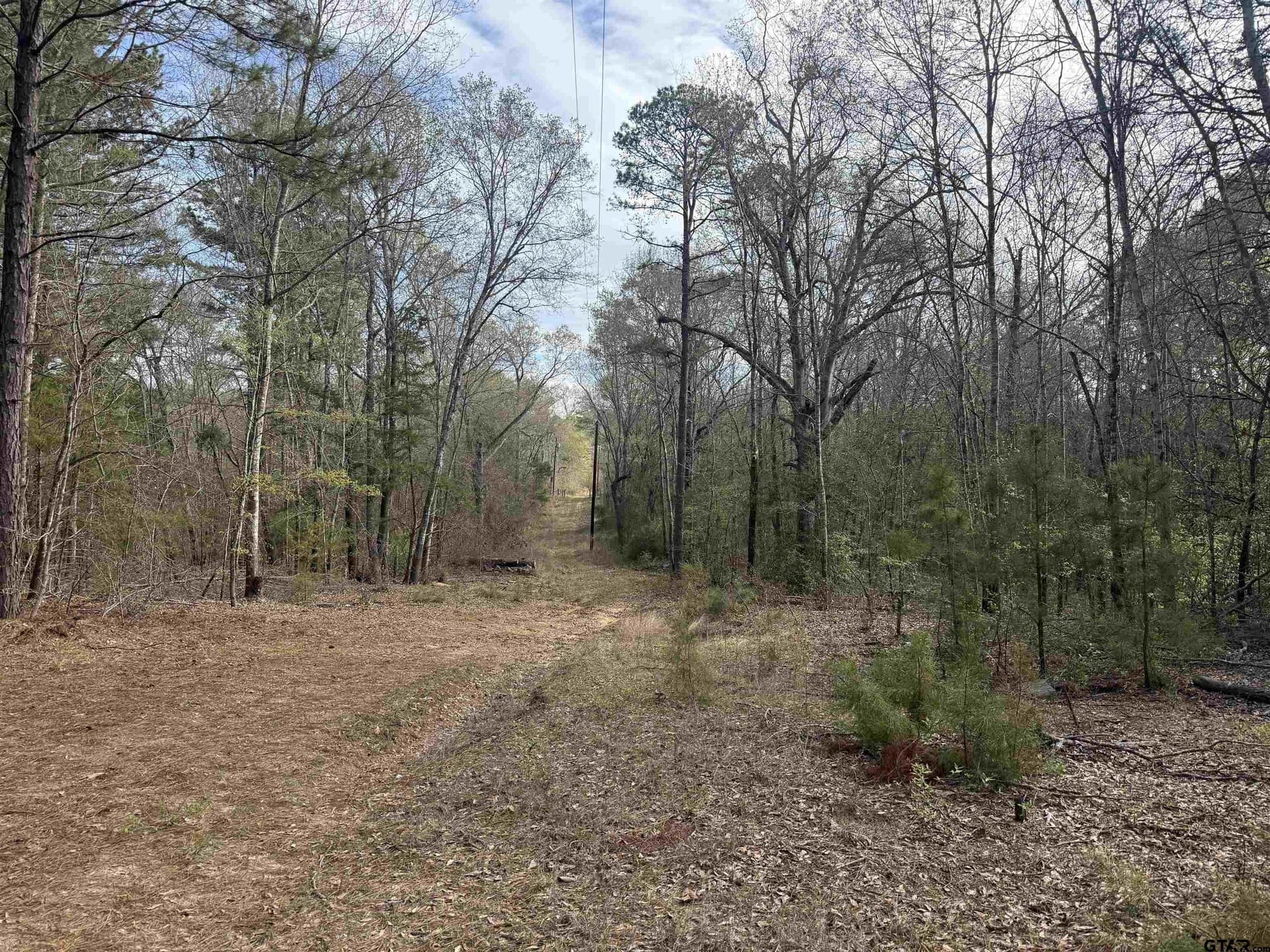 12.19 acres in Smith County - photo 3