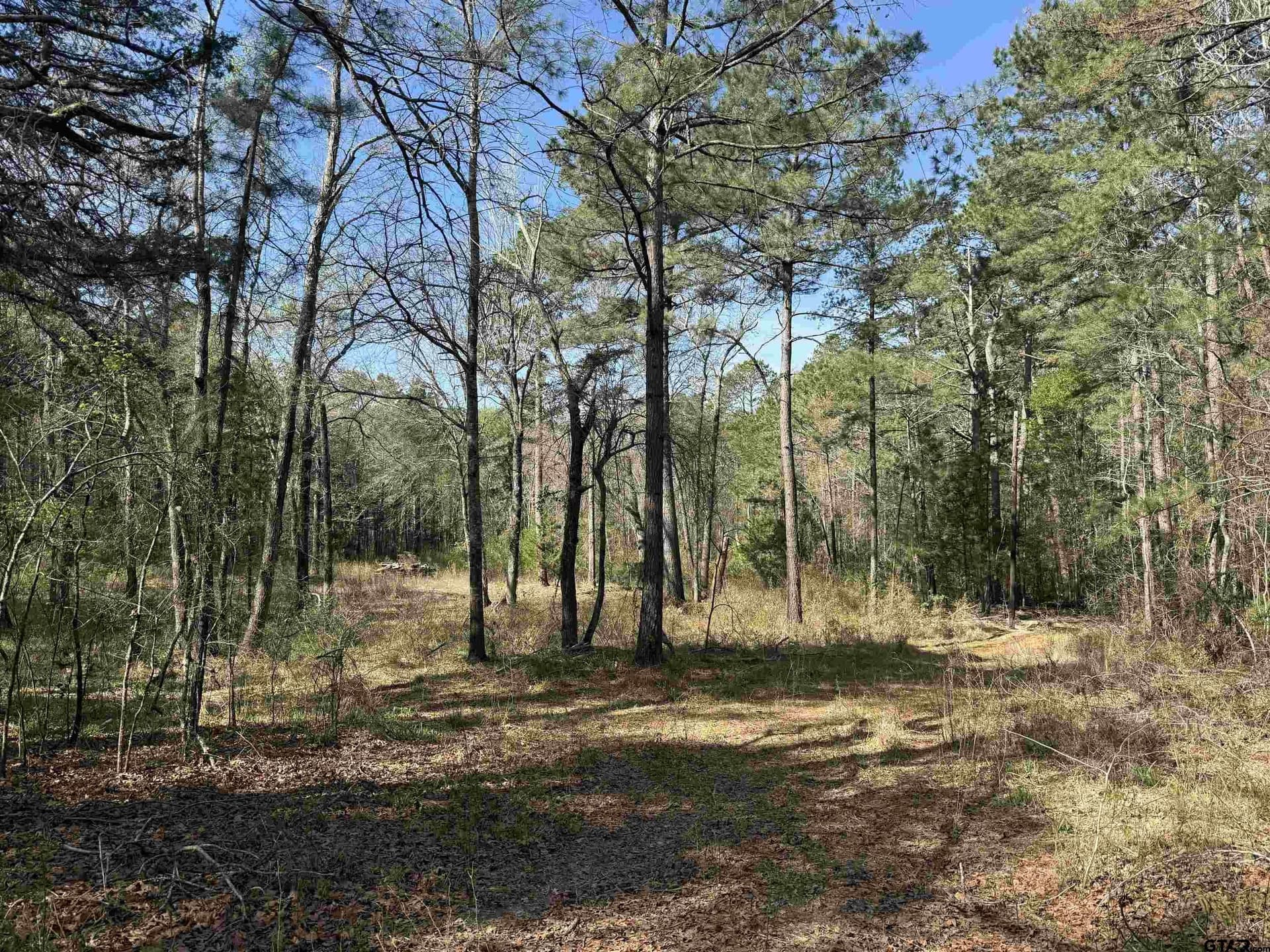 12.19 acres in Smith County - photo 7