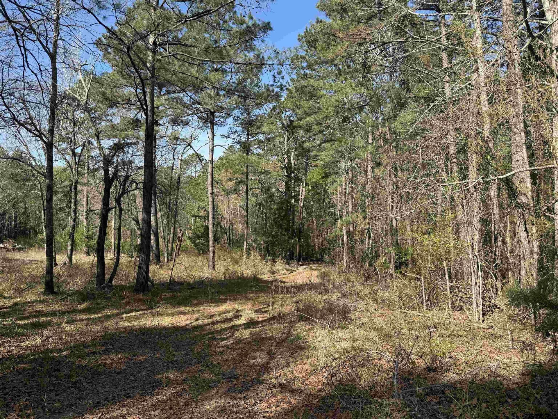 12.19 acres in Smith County - photo 6