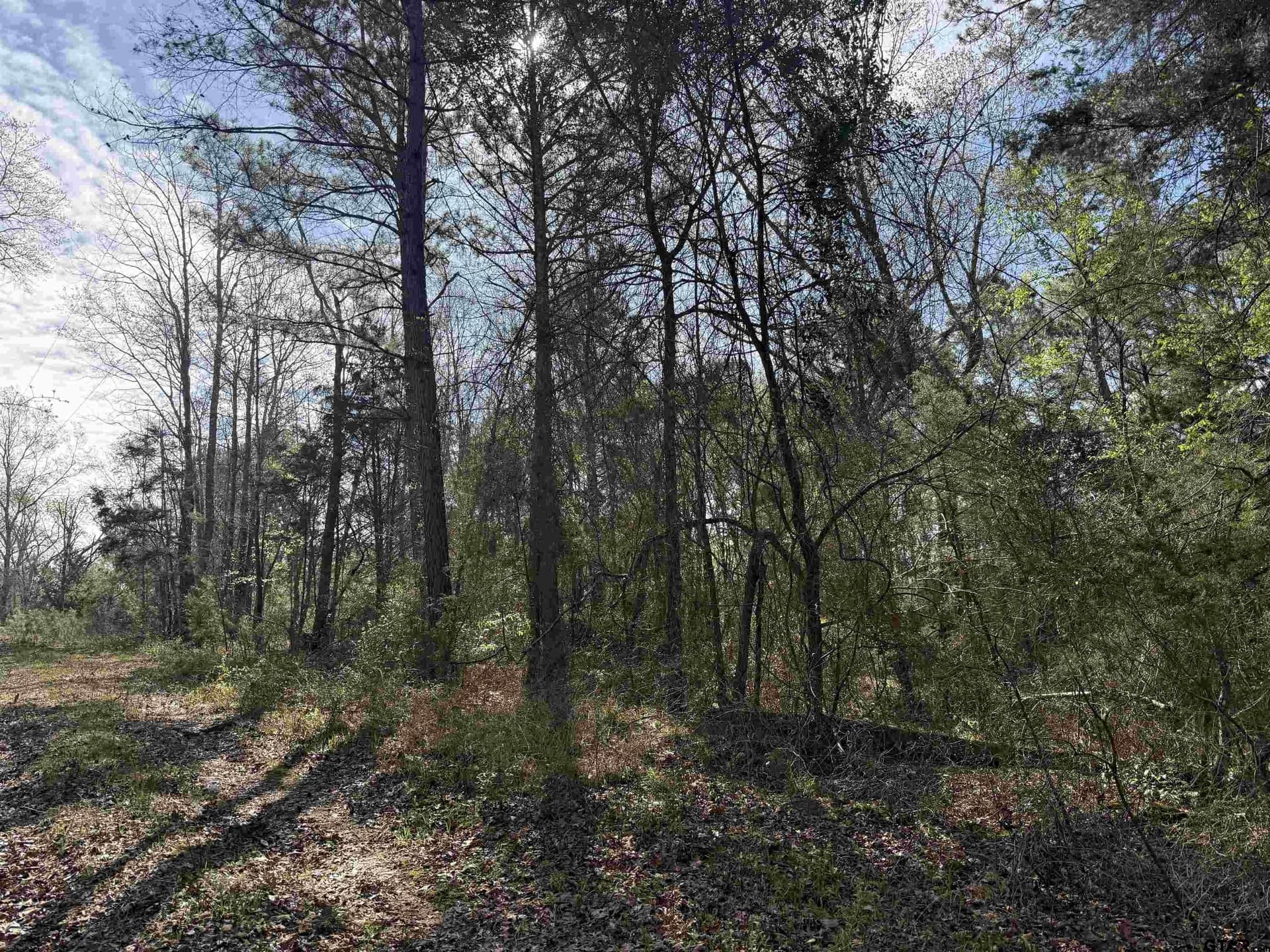 12.19 acres in Smith County - photo 8