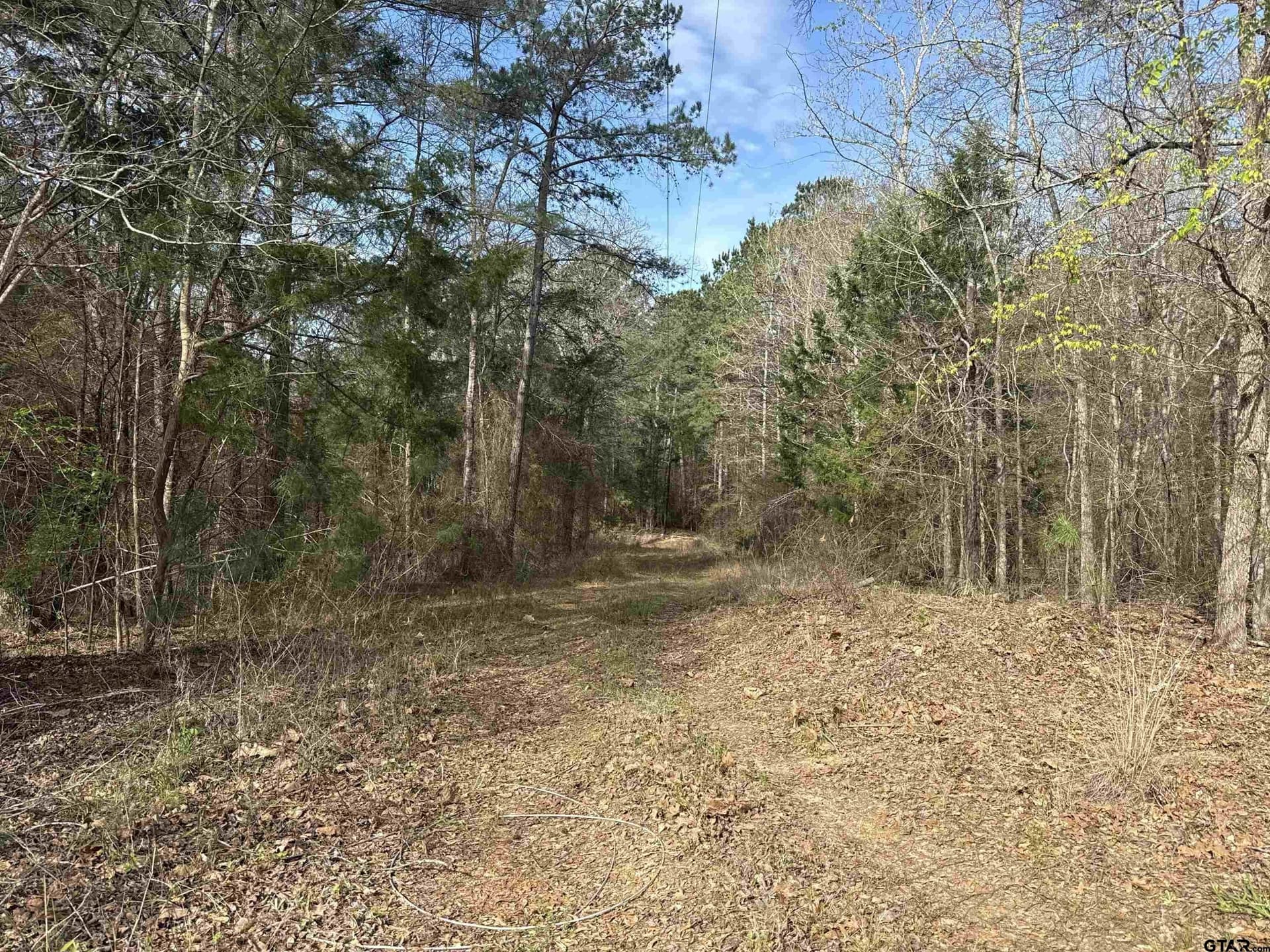 12.19 acres in Smith County