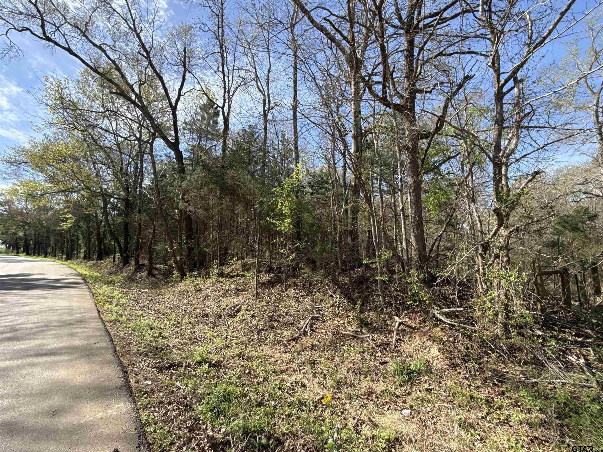 12.19 acres in Smith County - photo 10