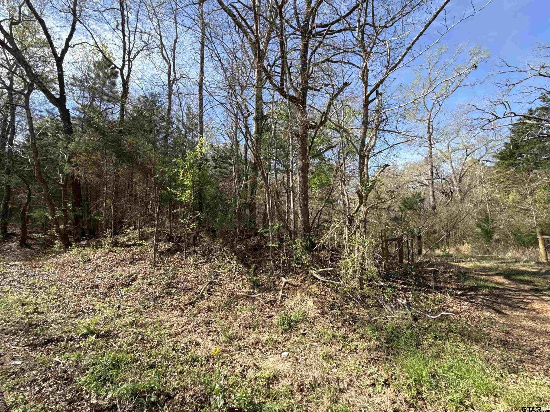 12.19 acres in Smith County - photo 9