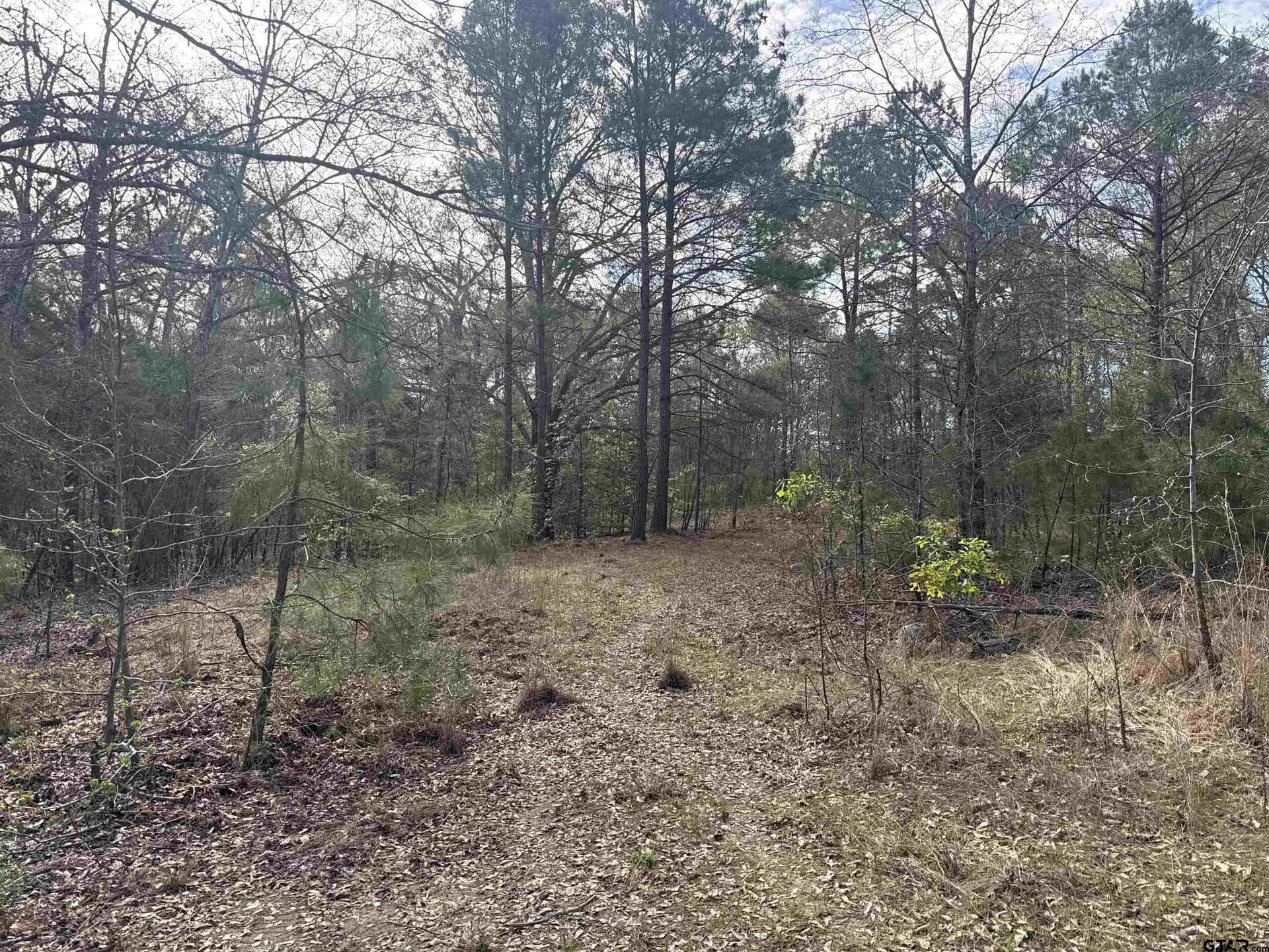12.19 acres in Smith County - photo 4