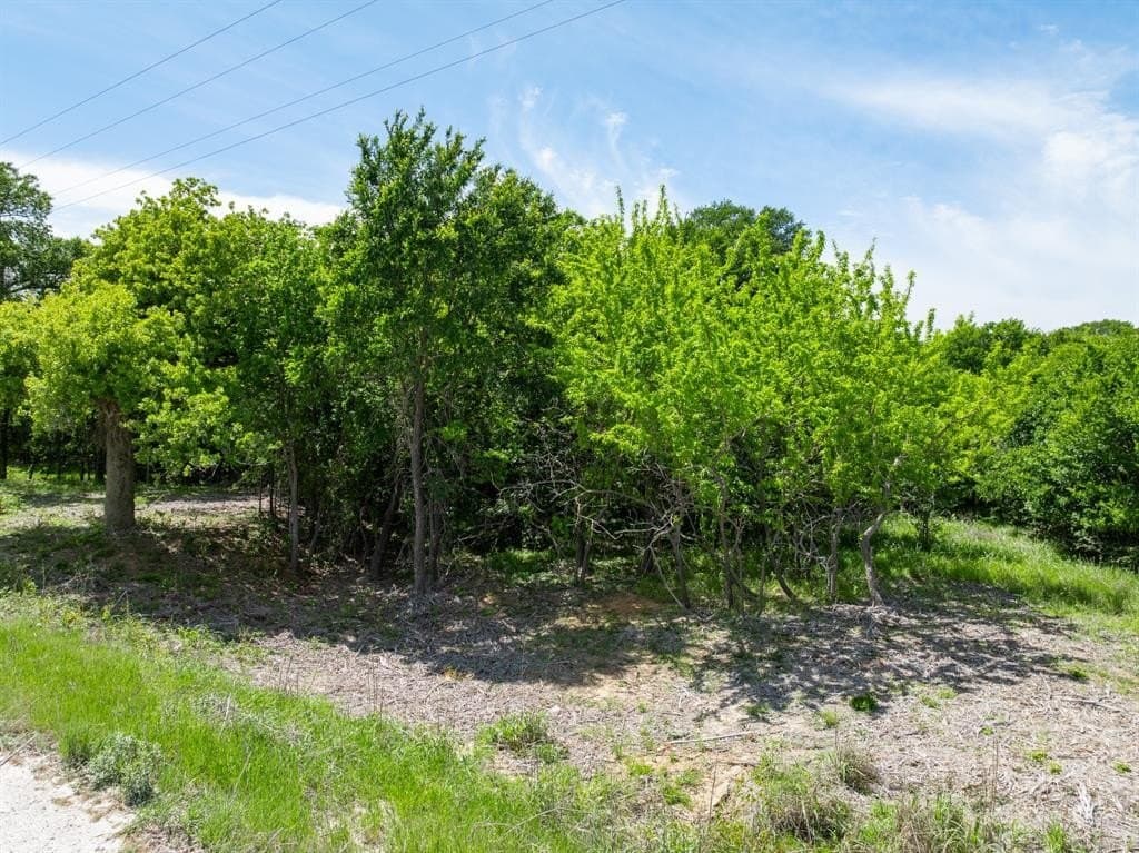 1.2 acres in Hill County gallery image 4