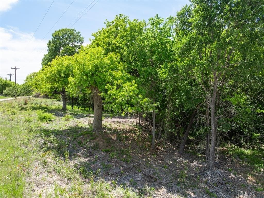 1.2 acres in Hill County gallery image 3