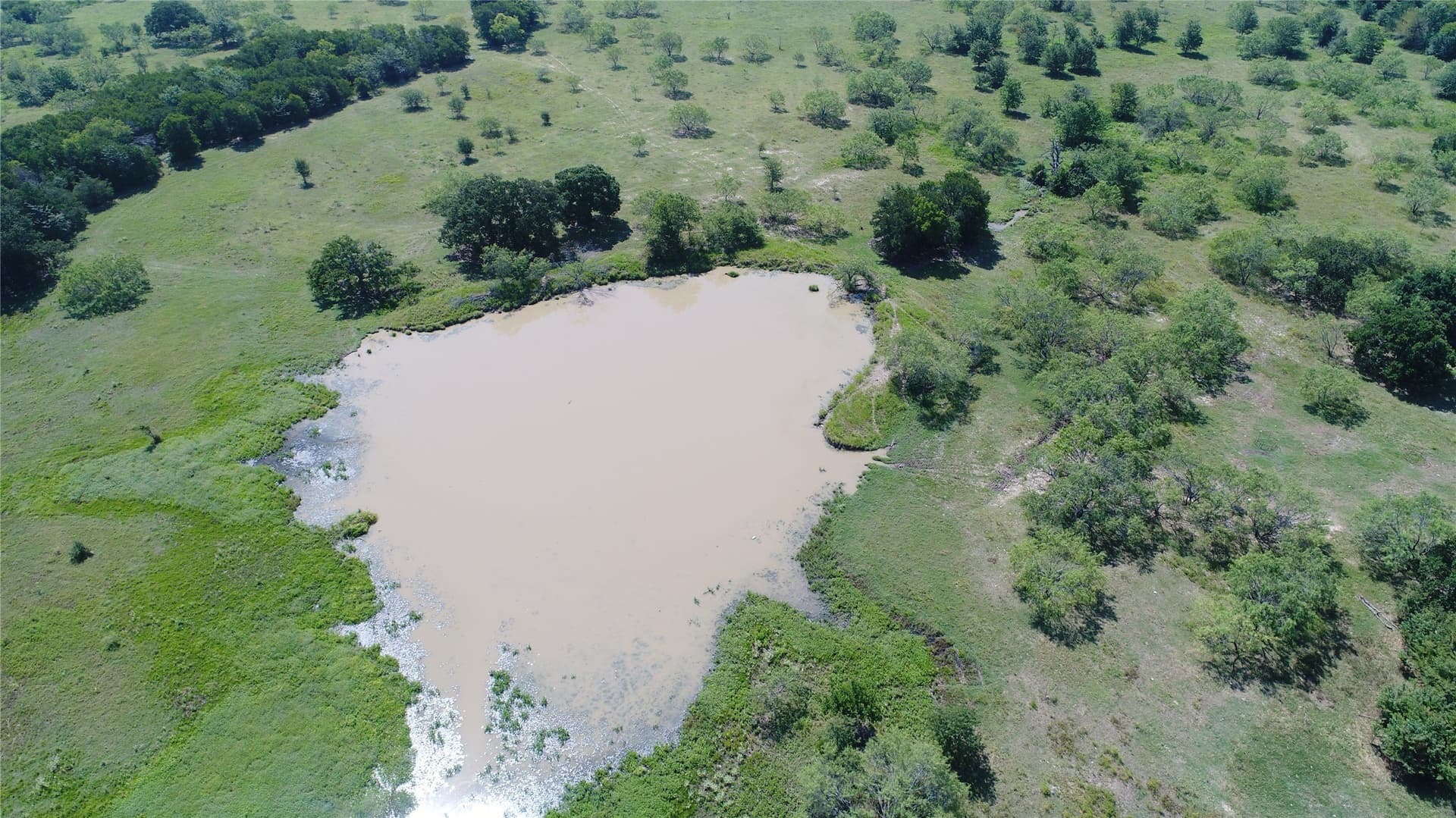 248 acres in Navarro County - photo 17