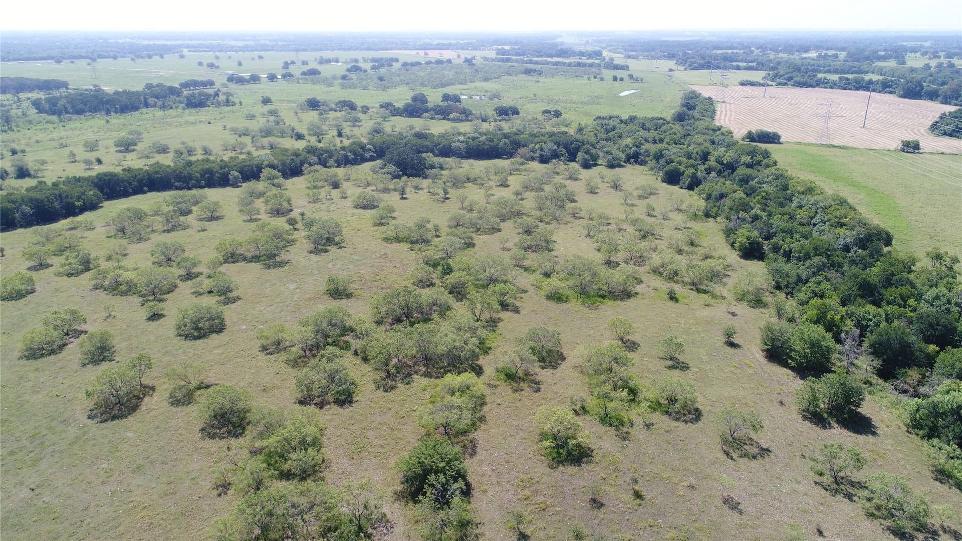 248 acres in Navarro County - photo 24