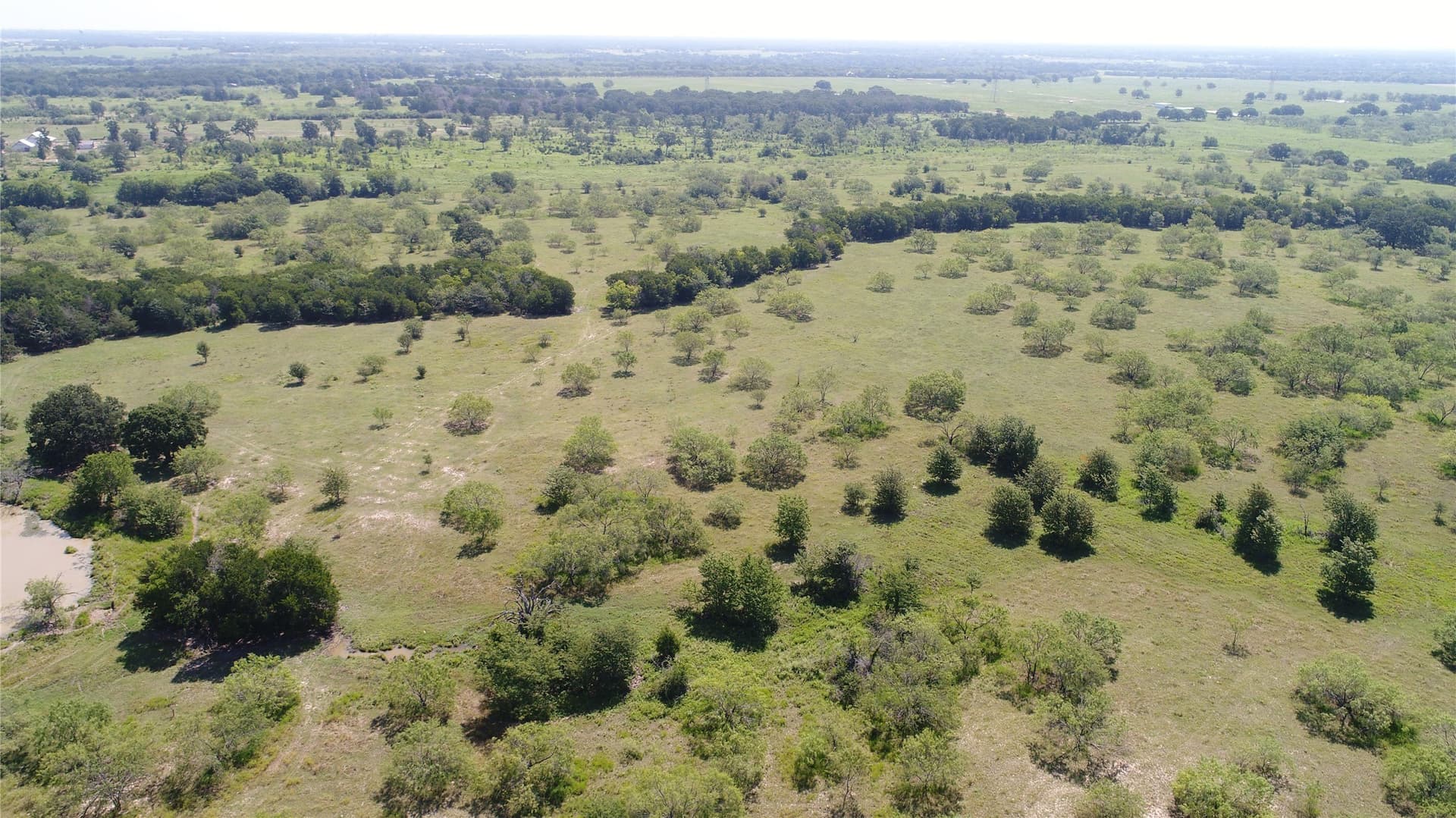 248 acres in Navarro County - photo 23