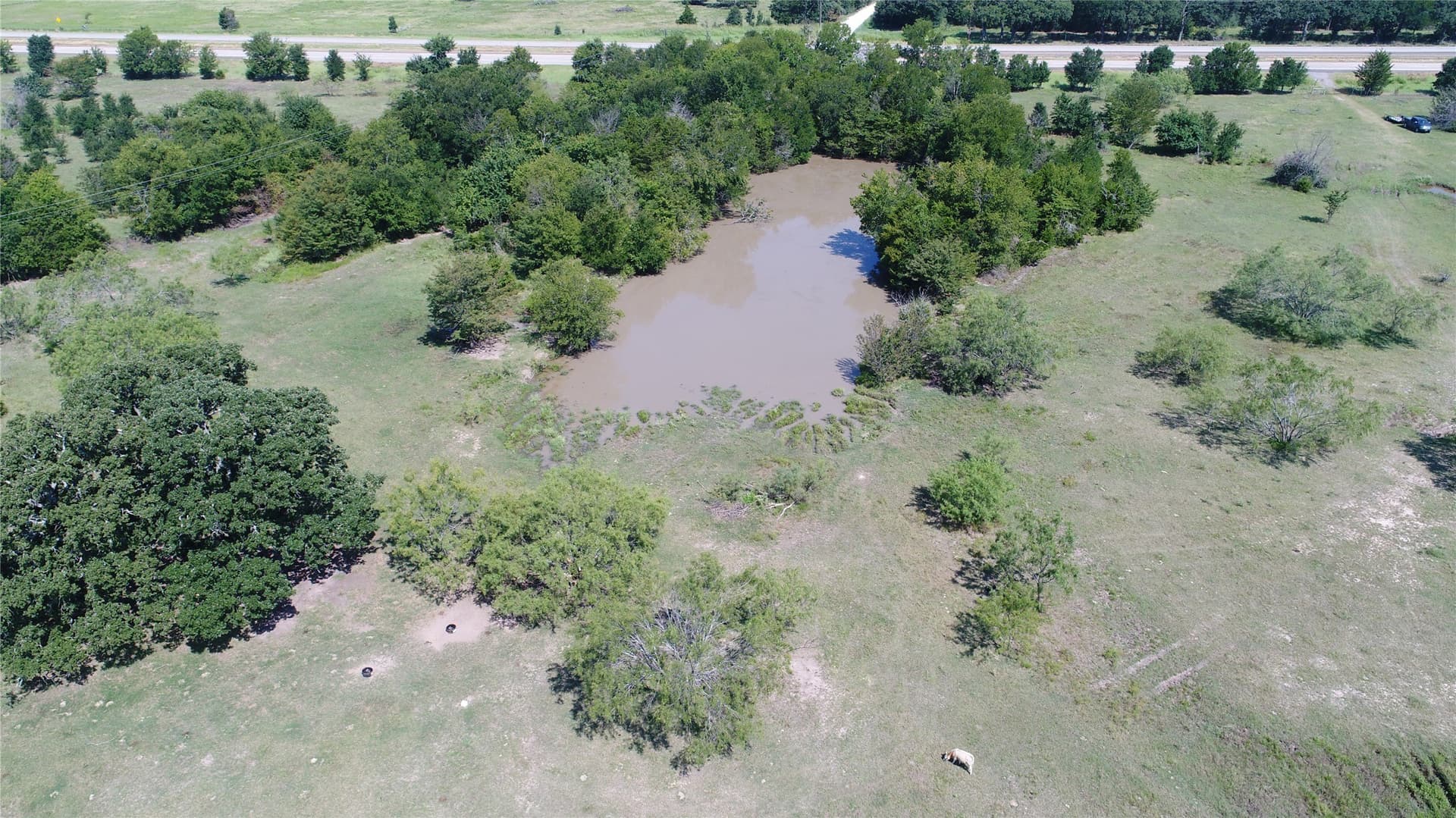 248 acres in Navarro County - photo 33