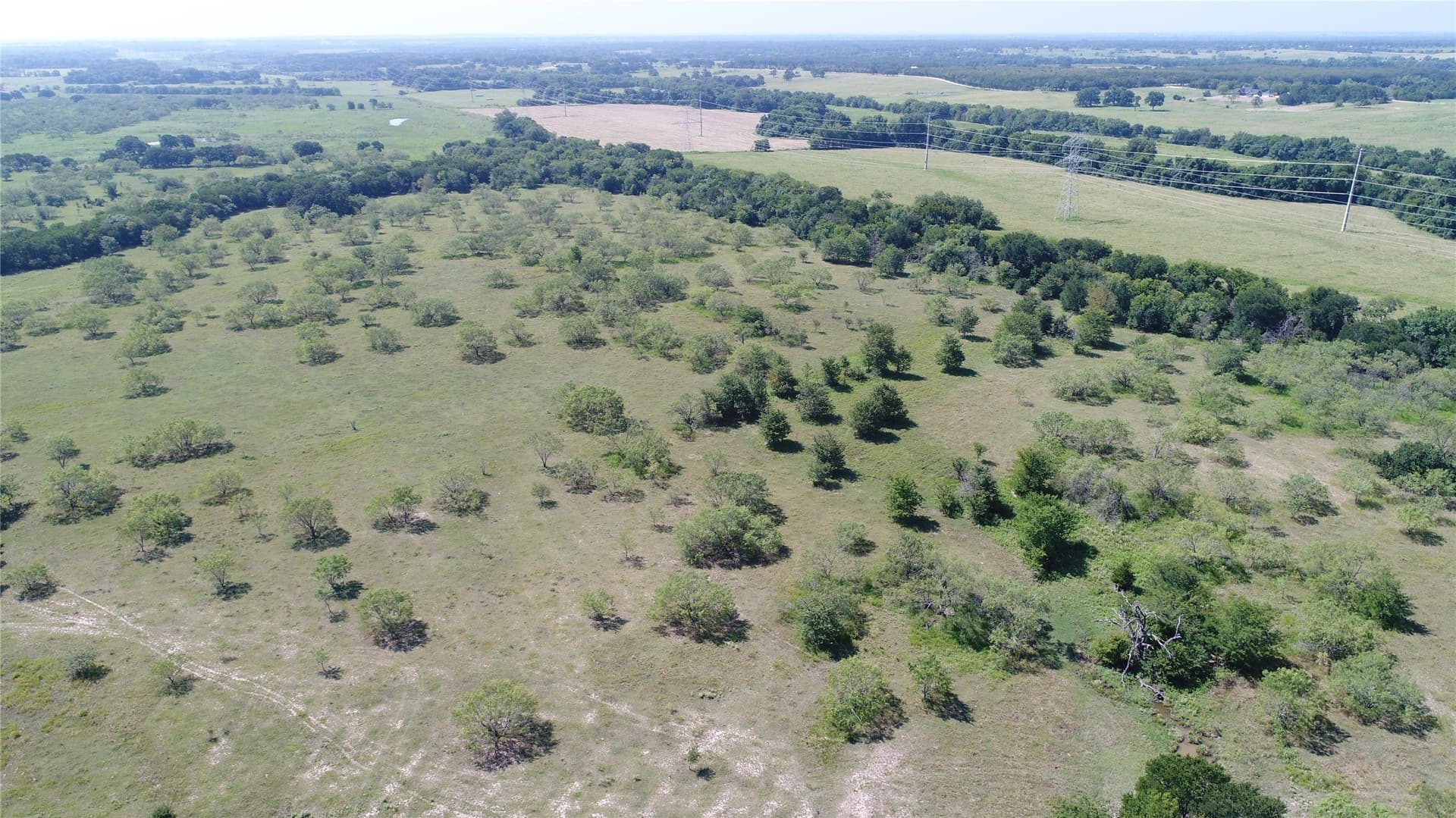 248 acres in Navarro County - photo 19