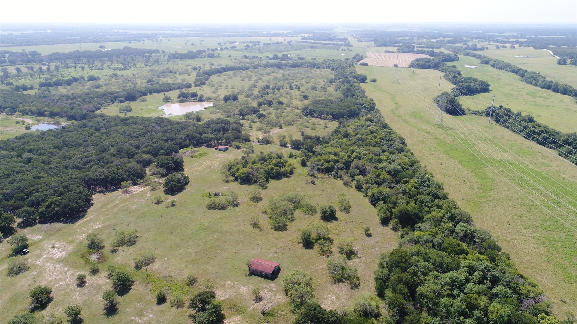 248 acres in Navarro County - photo 11