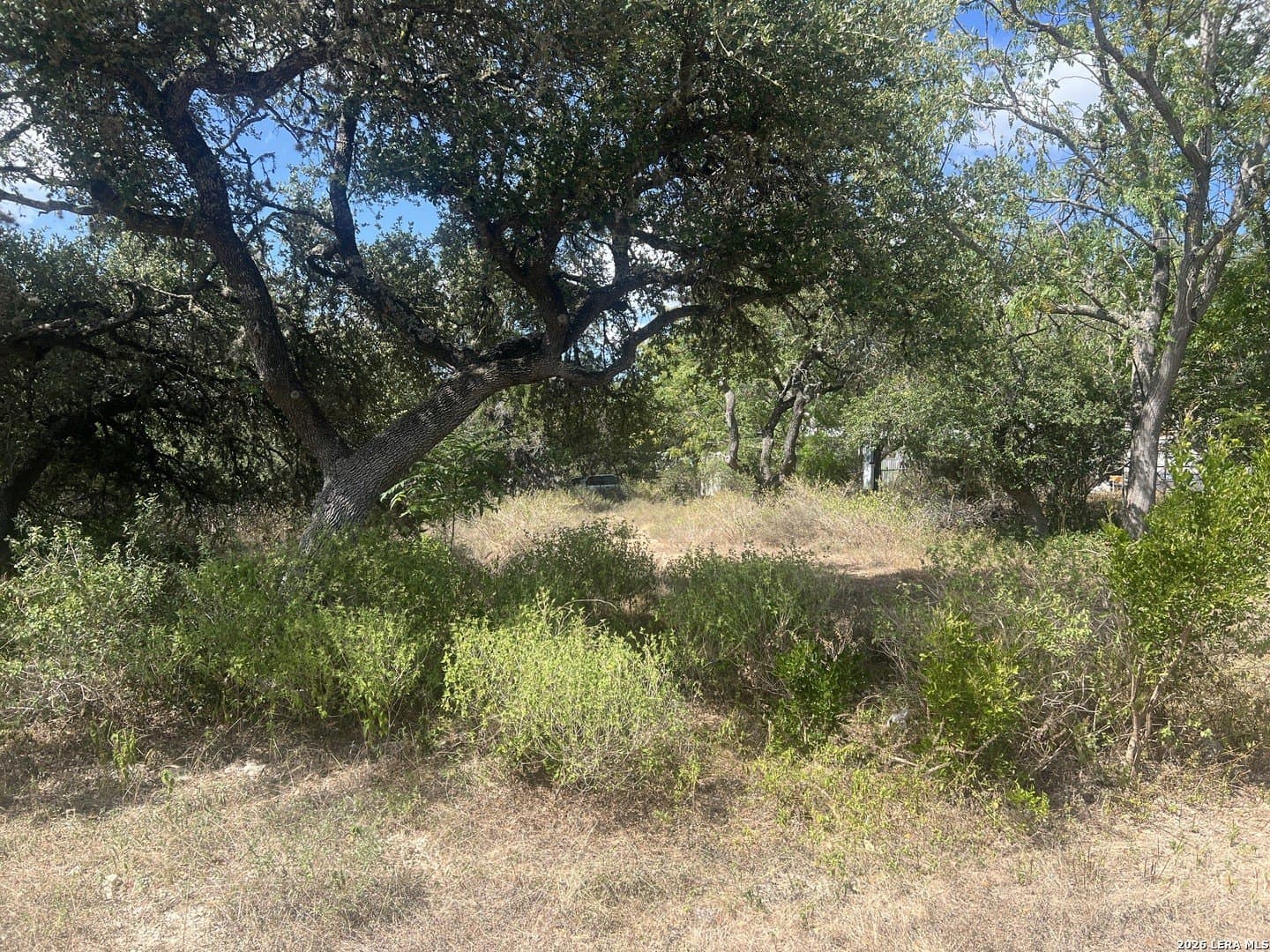 0.46 acres in Comal County - photo 10
